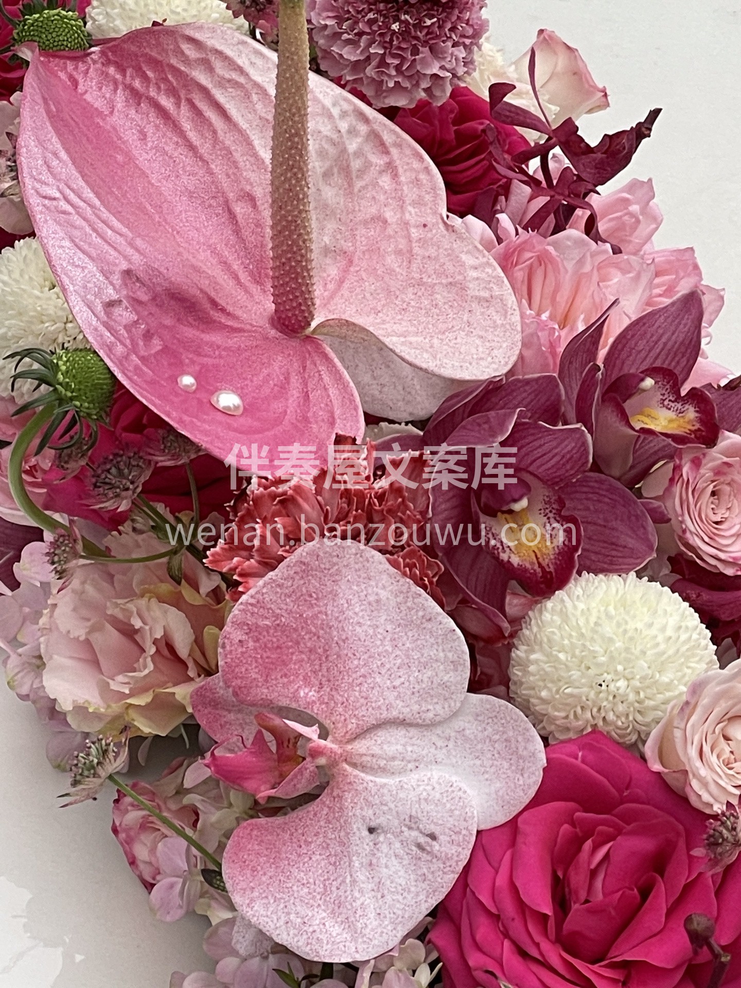 桃红色系婚车手捧 这个色系真的绝绝子 满 配图3