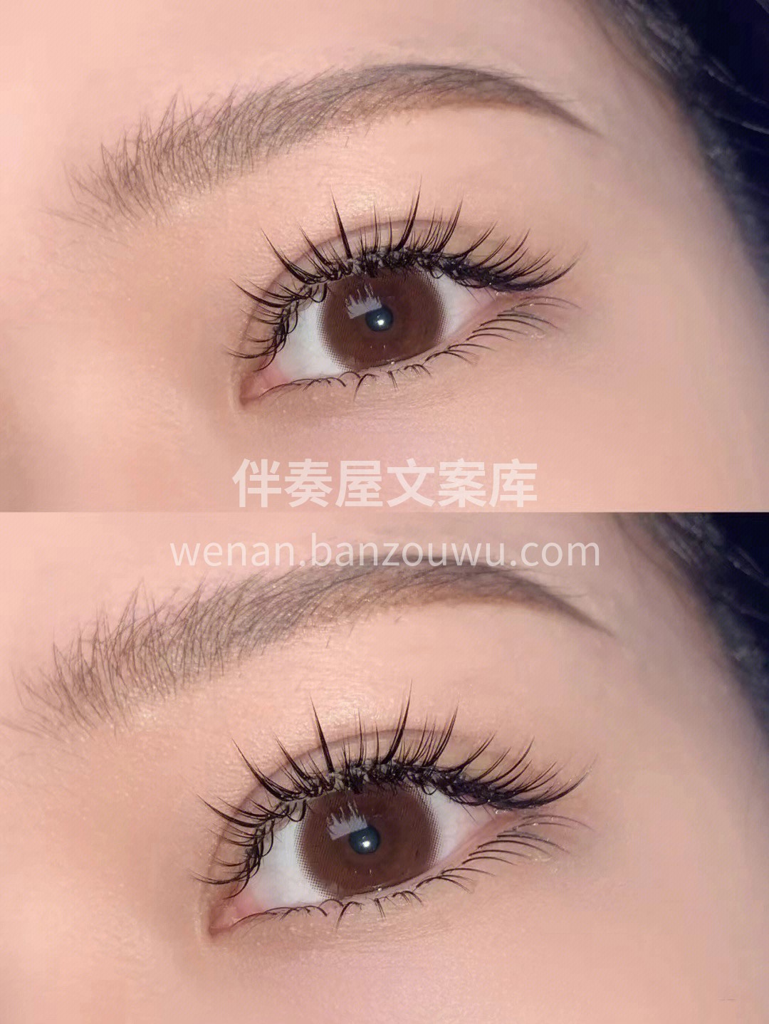 ❀*𝕄𝕖𝕚 𝕛𝕚𝕖*♡ *✩‧温山软水ෆ