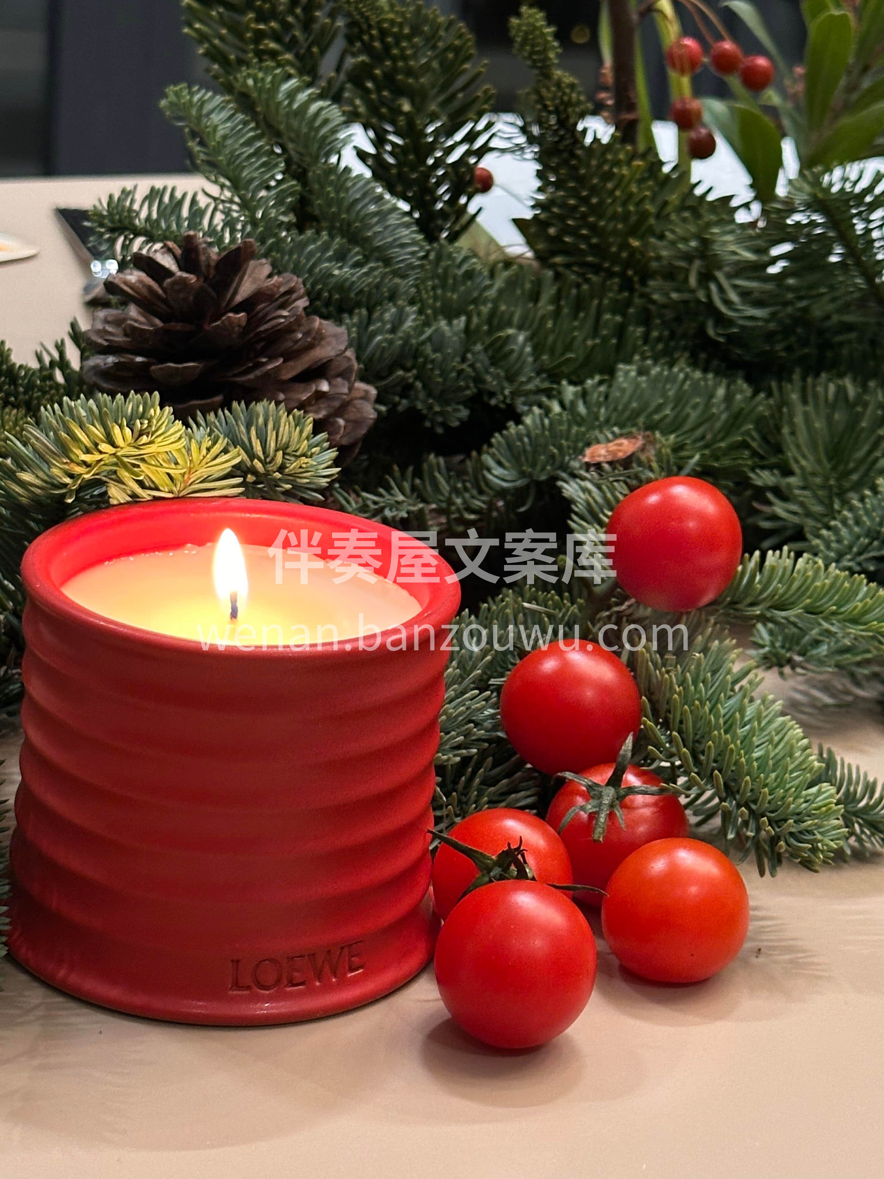 松枝缠绕烛台🌟红果点缀银叶❤️ 餐桌花不只装饰桌面🍎 更点亮 配图2