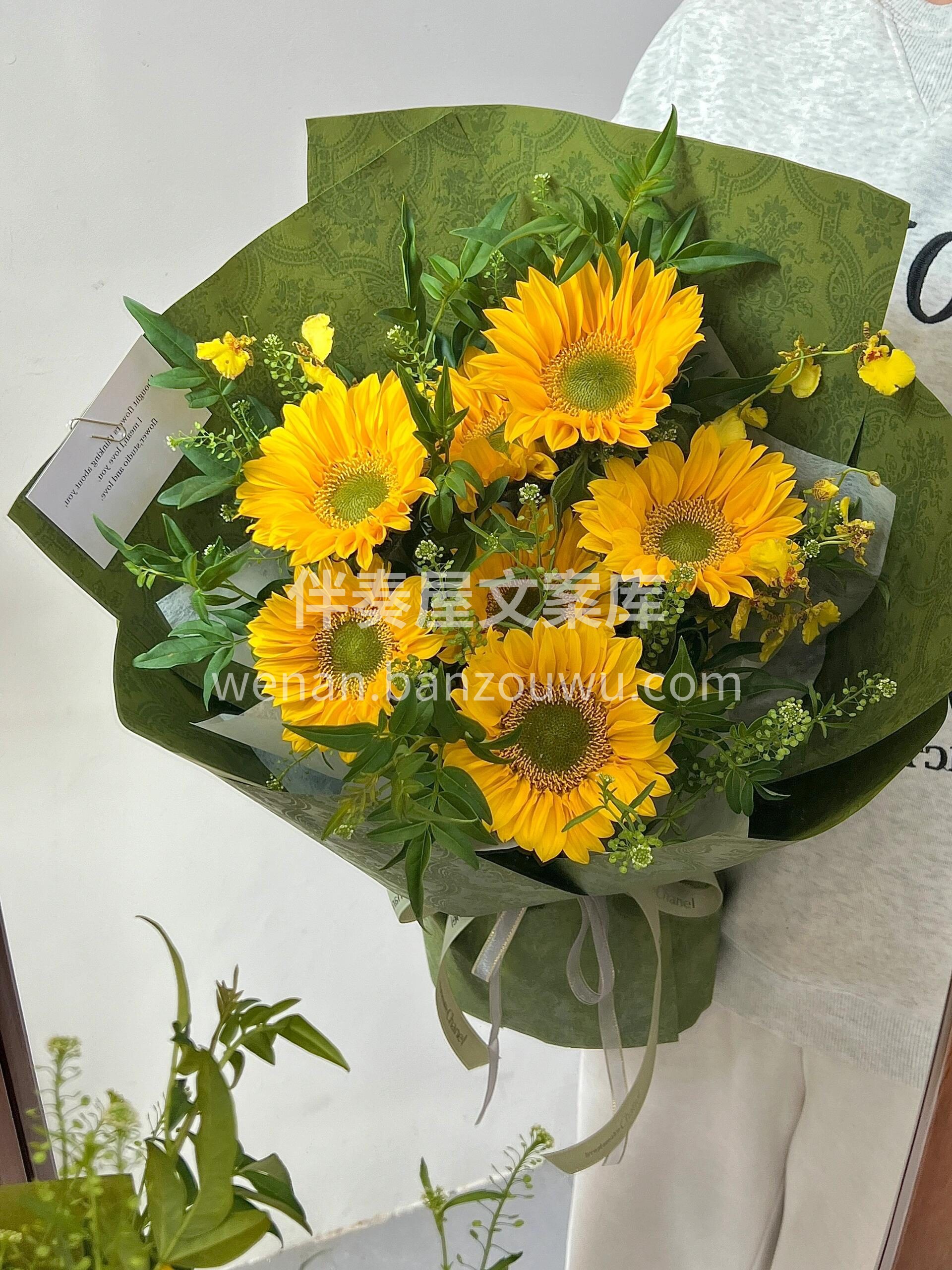 梵高的向日葵🌻🌻 夏天💚💛最喜欢的绿色  配图2
