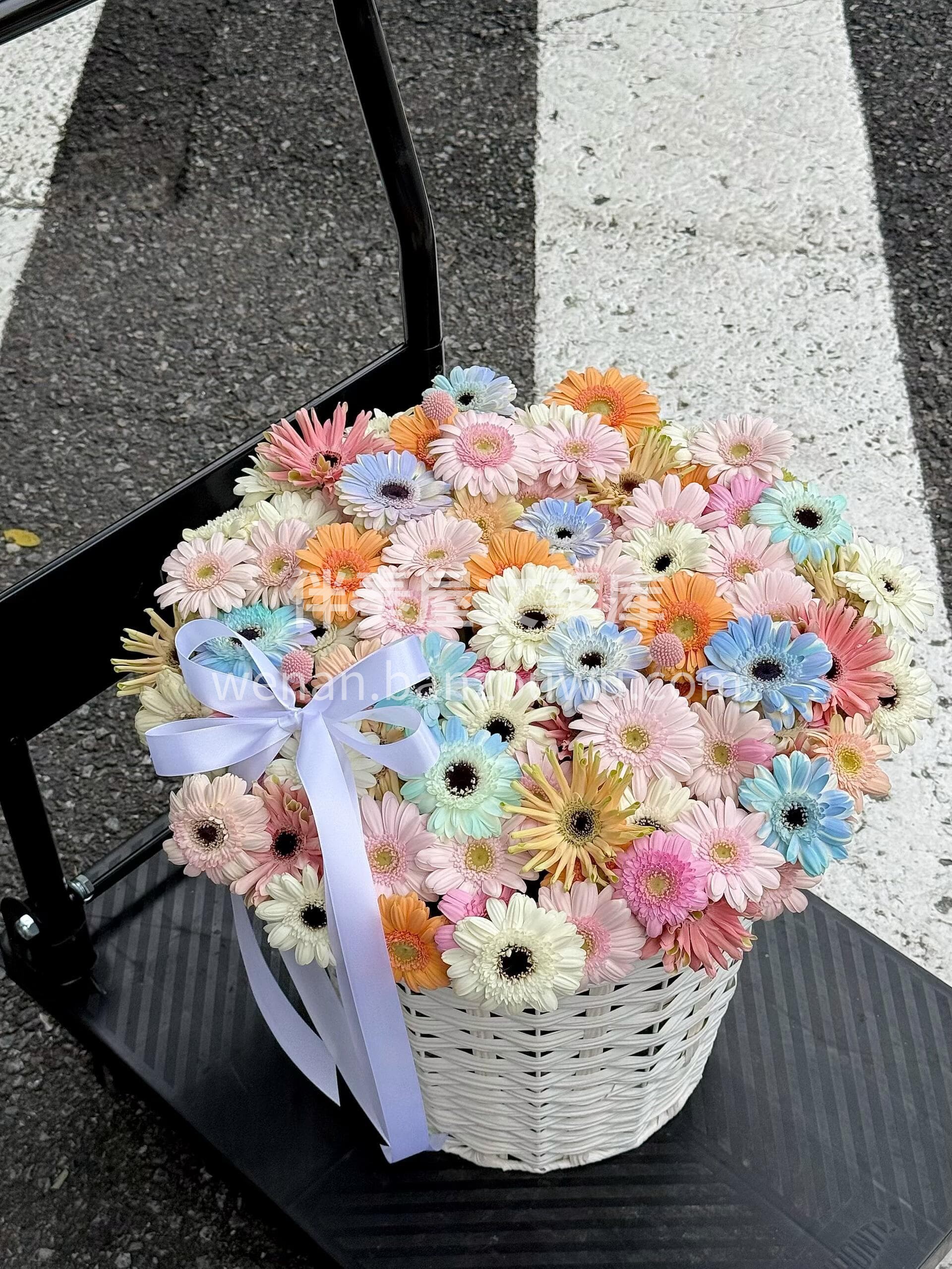彩虹弗朗 🌈解锁不期而遇的惊艳[哇] ☀️一整盆沉甸甸的阳光 配图2