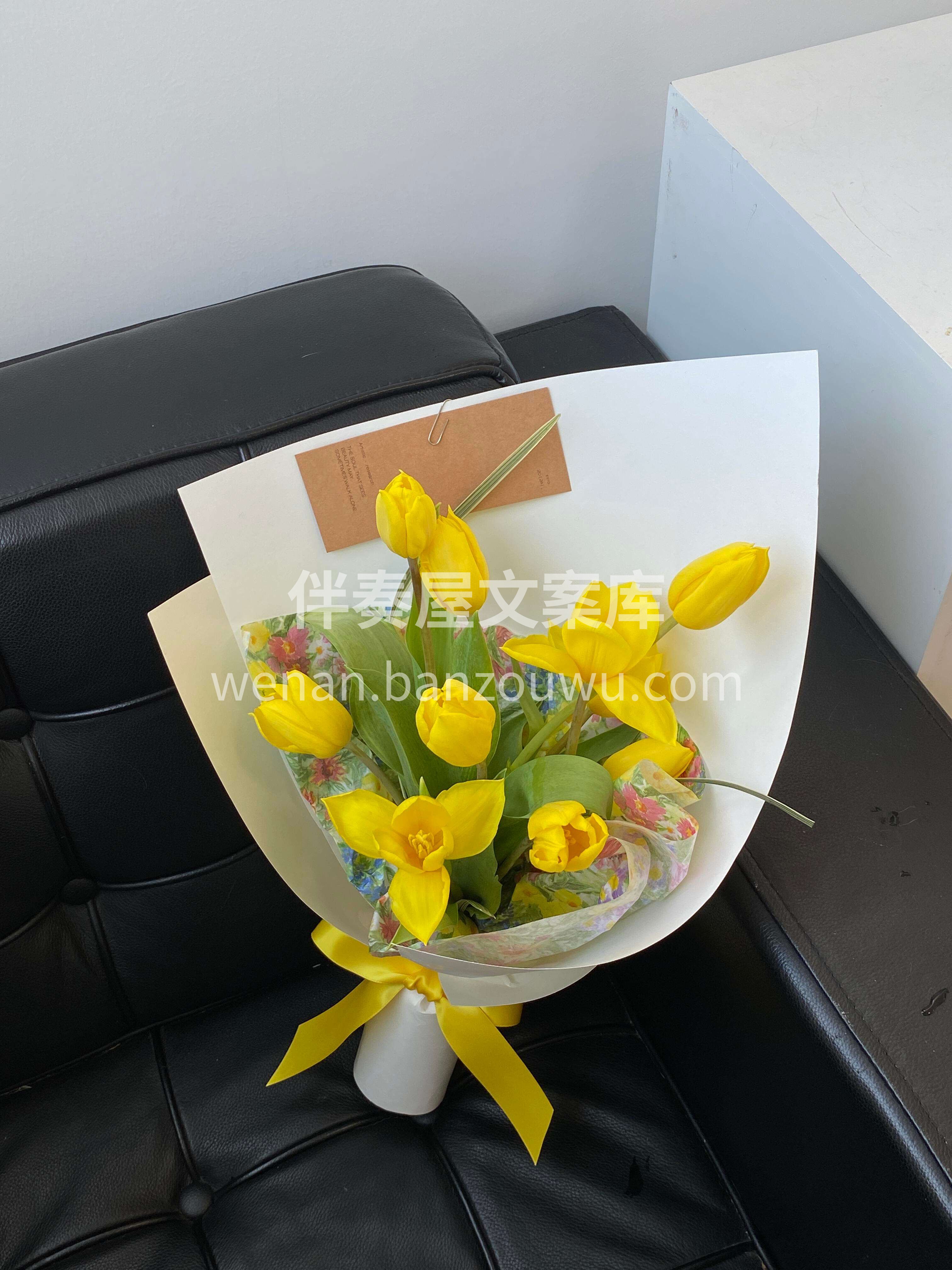 都说🌷郁金香是春天的代名词 那黄色的一定是其中最活泼的那一笔 配图1