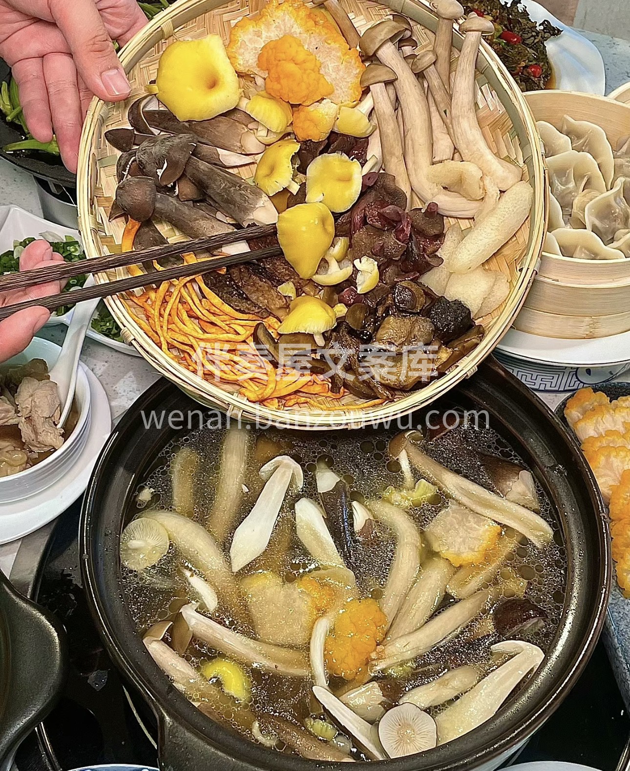菌子火锅，是一场舌尖上的奇幻之旅。各种鲜 配图2