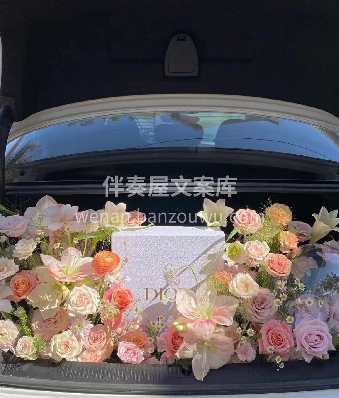 “仪式感是生活的保鲜剂💡” 求婚大作战  配图2