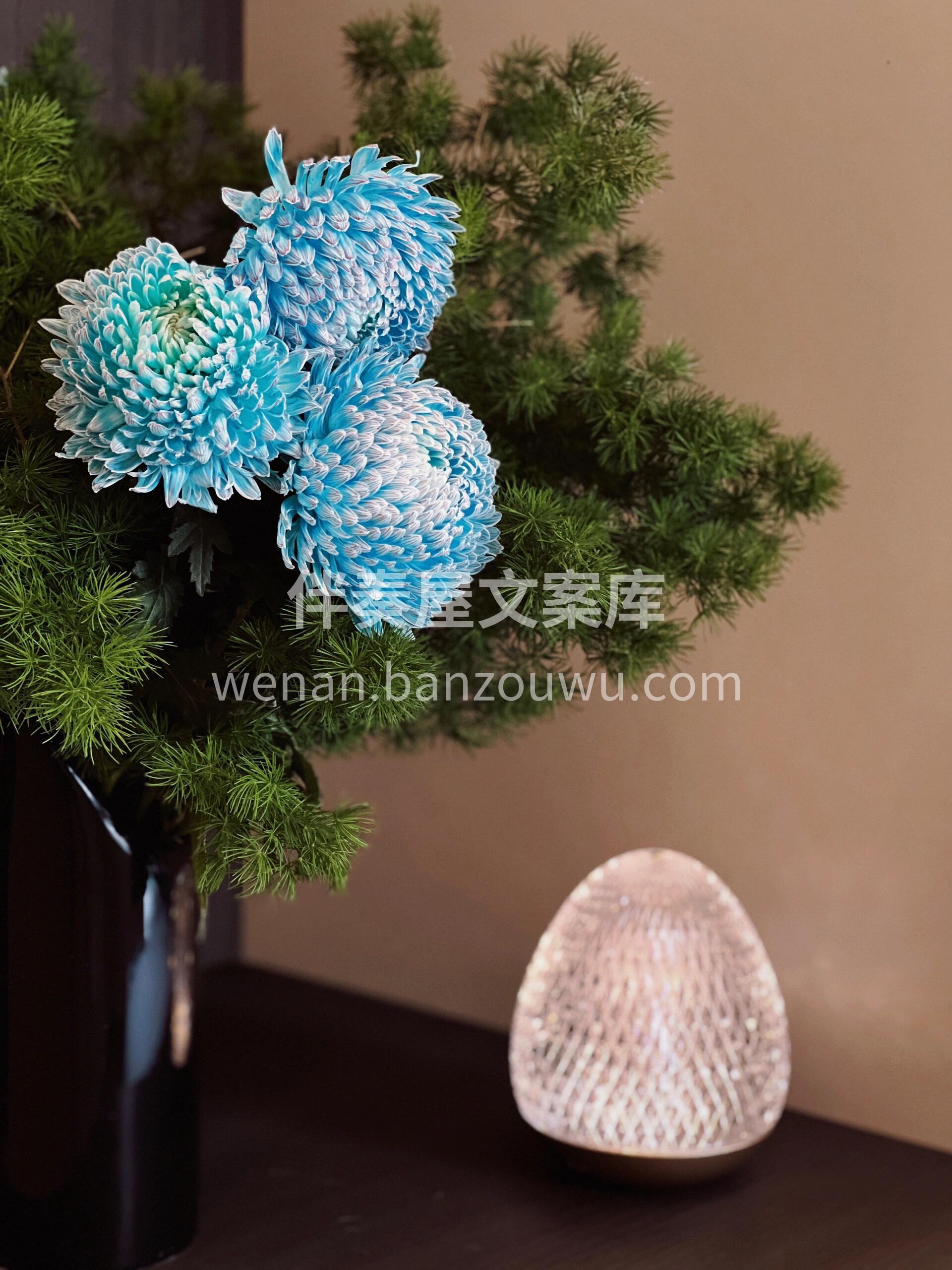 说到中式鲜花 🌼 你就不得不相信老祖宗的审美👀 老祖宗都喜欢 配图2