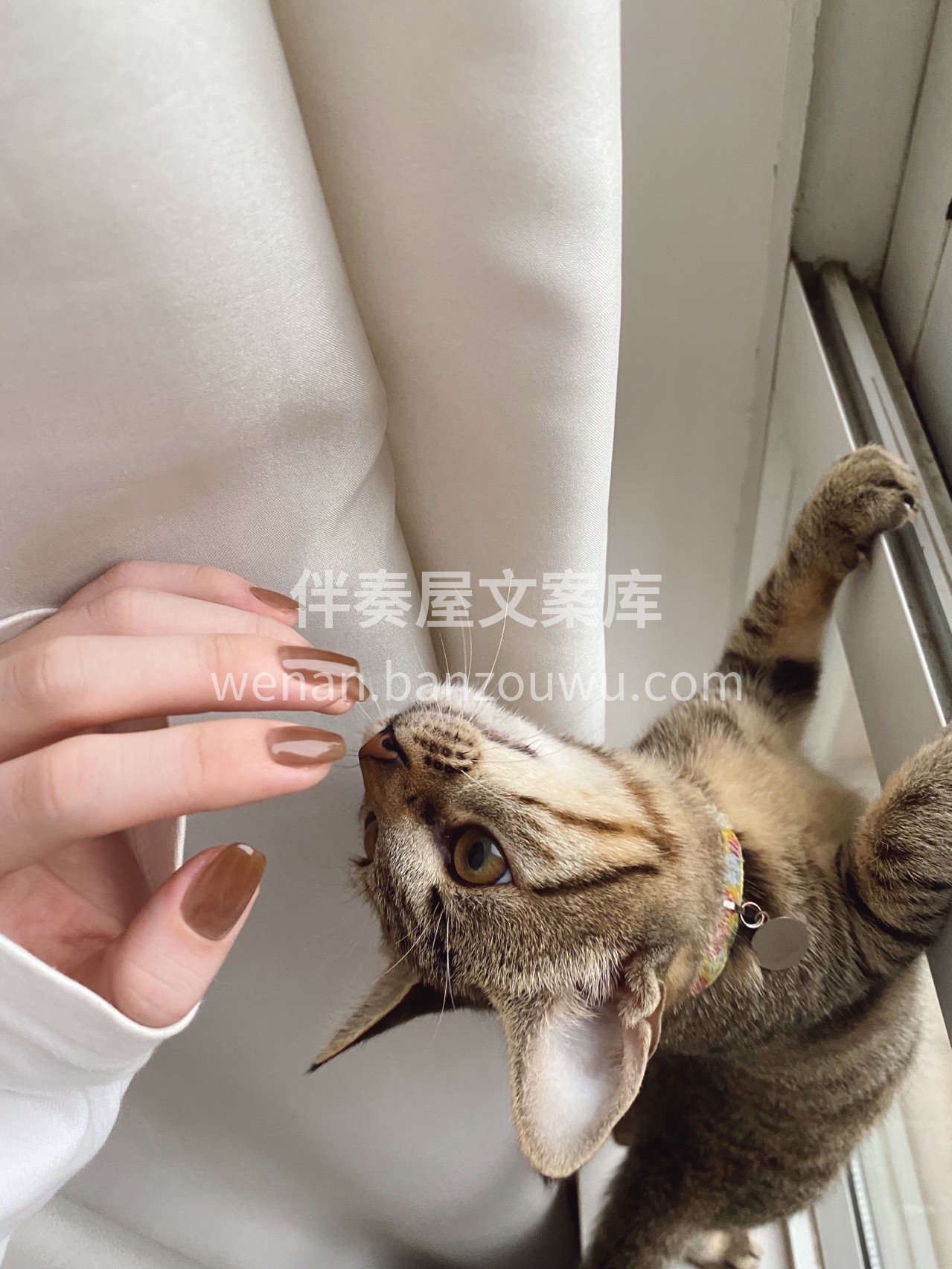 干净清透的纯色美甲 配图1