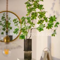 夏天绿植🌿 绿意吊钟 忙里偷个嫌😉 看看 配图2