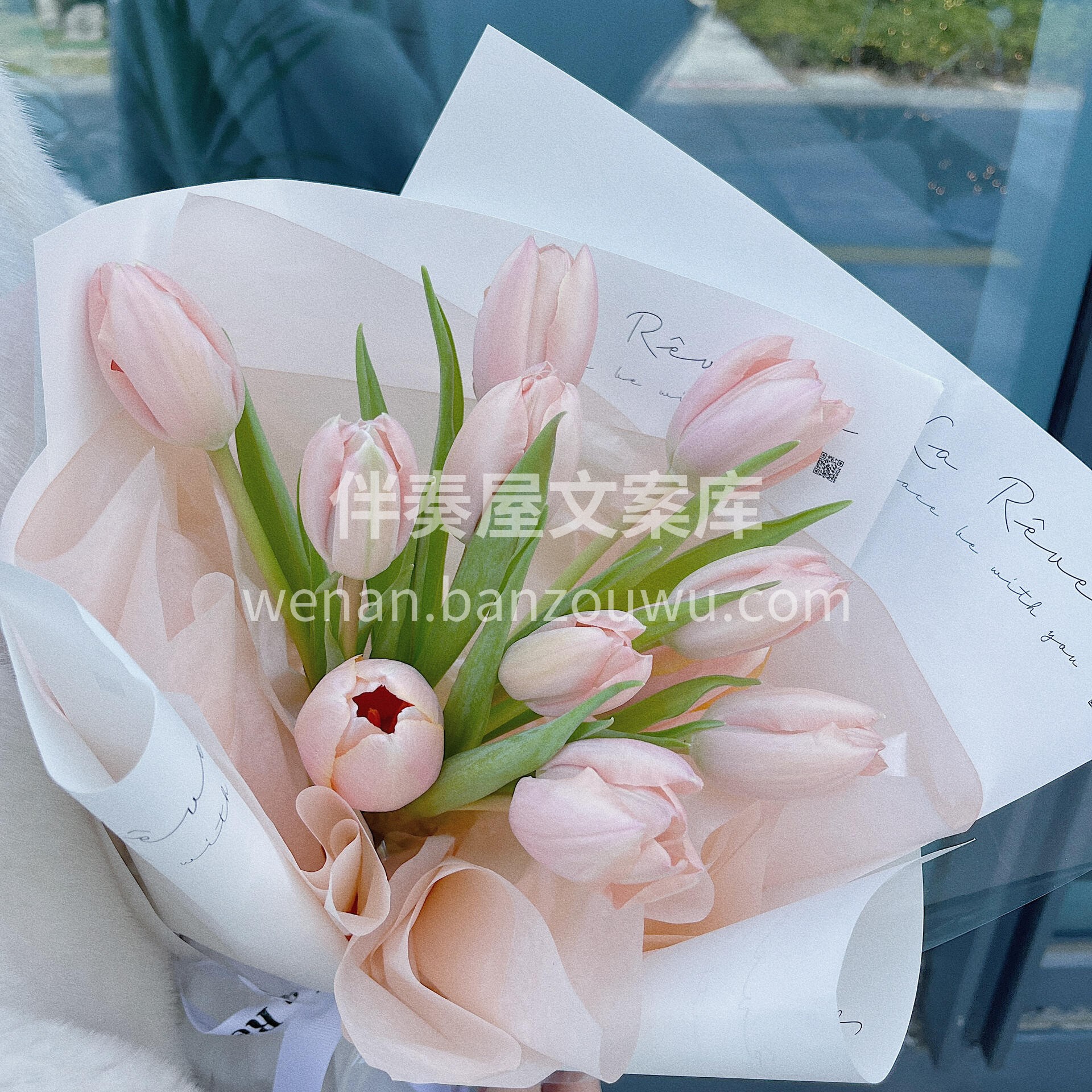 温婉简约的郁金香花束🌸 🌇日落间隙的染色 配图2