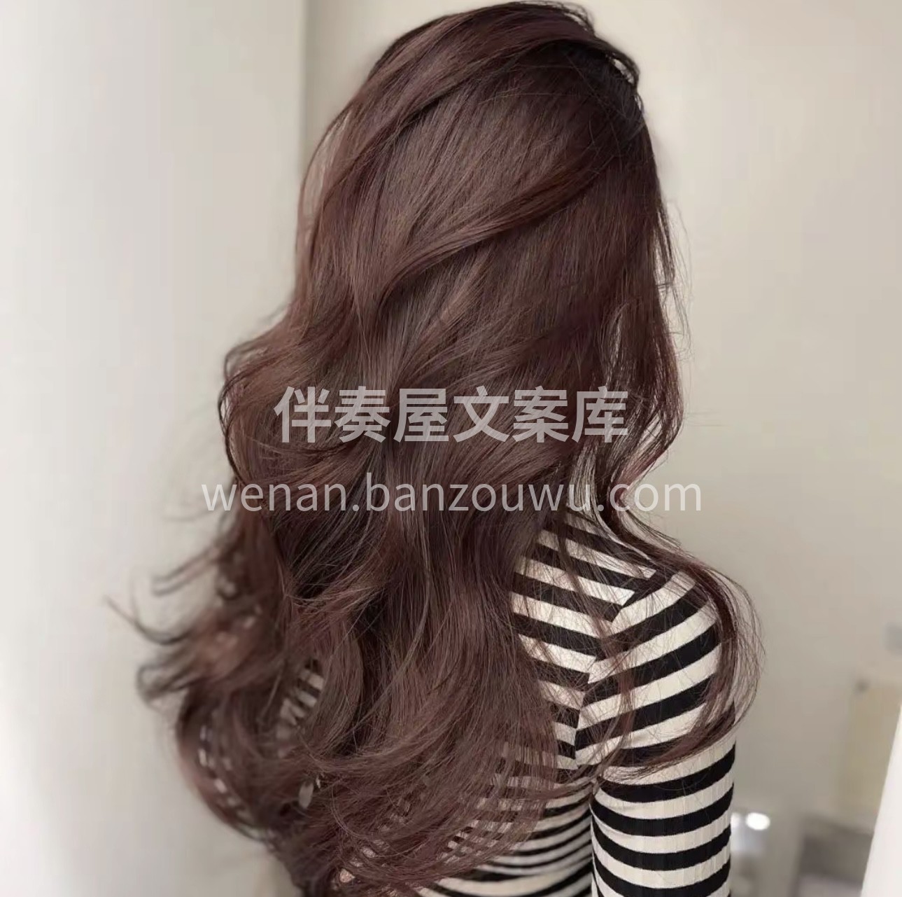 发型师的高超技术是怎么来的 哪有什么天生 配图2