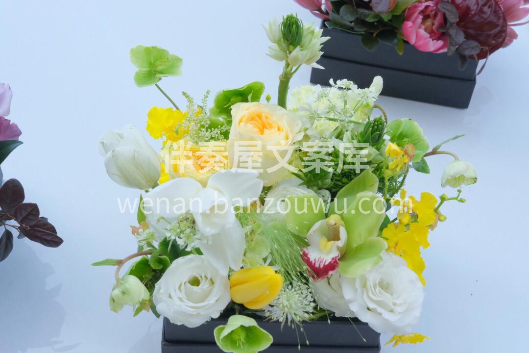 👀迷你精致的小花盒 像一座座小花园🌸✨  配图2