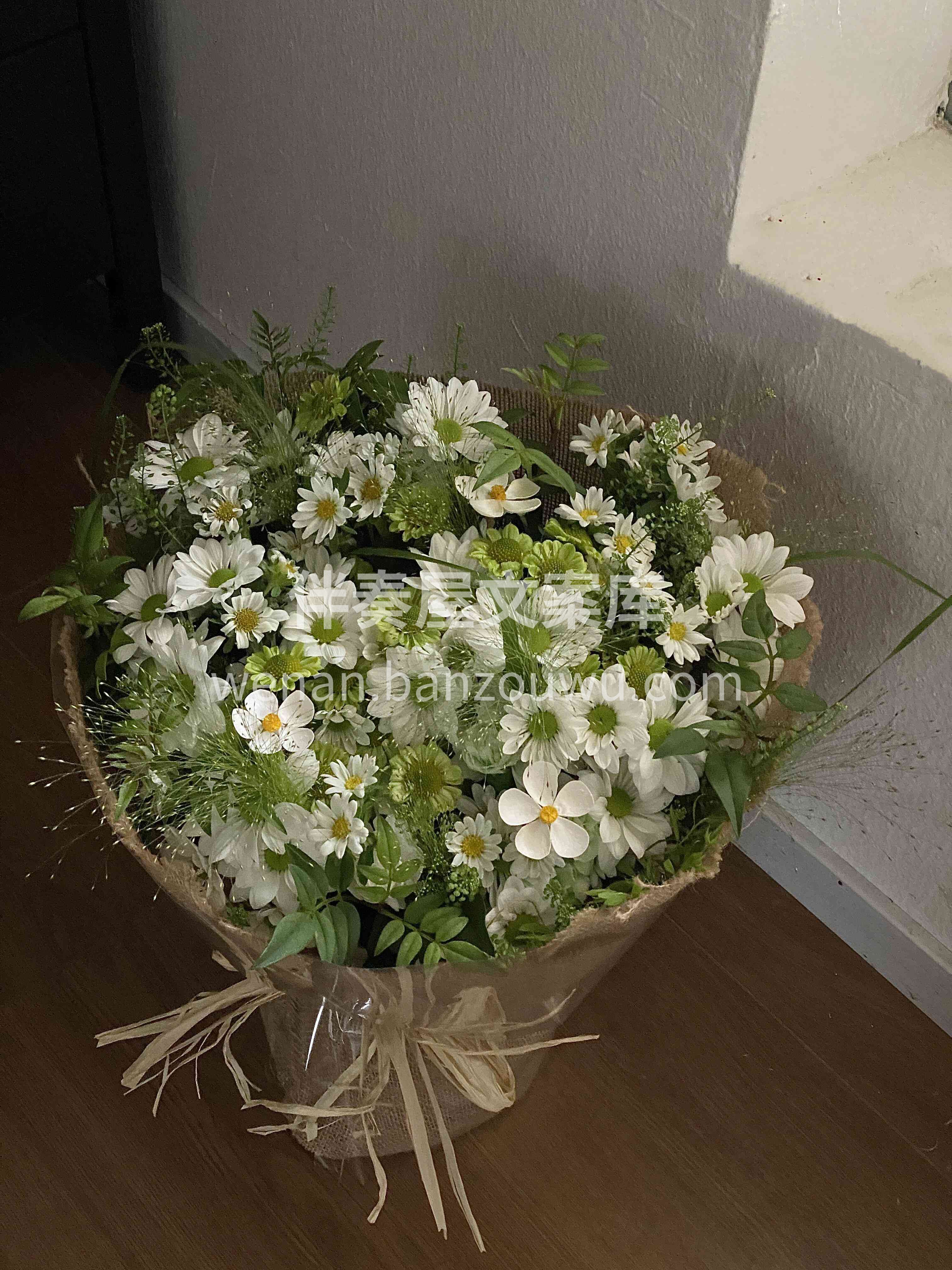 不一定非要长成玫瑰🌷 乐意的话💕做茉莉🌿做雏菊🌼 做无名小花 配图1