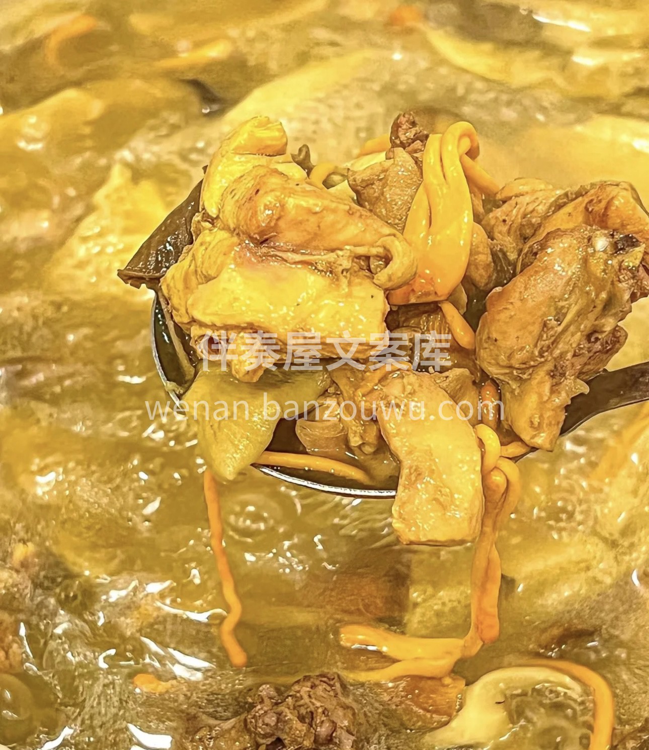 👀各种新鲜的菌子，在锅里咕嘟咕嘟👀！ 😘 配图3