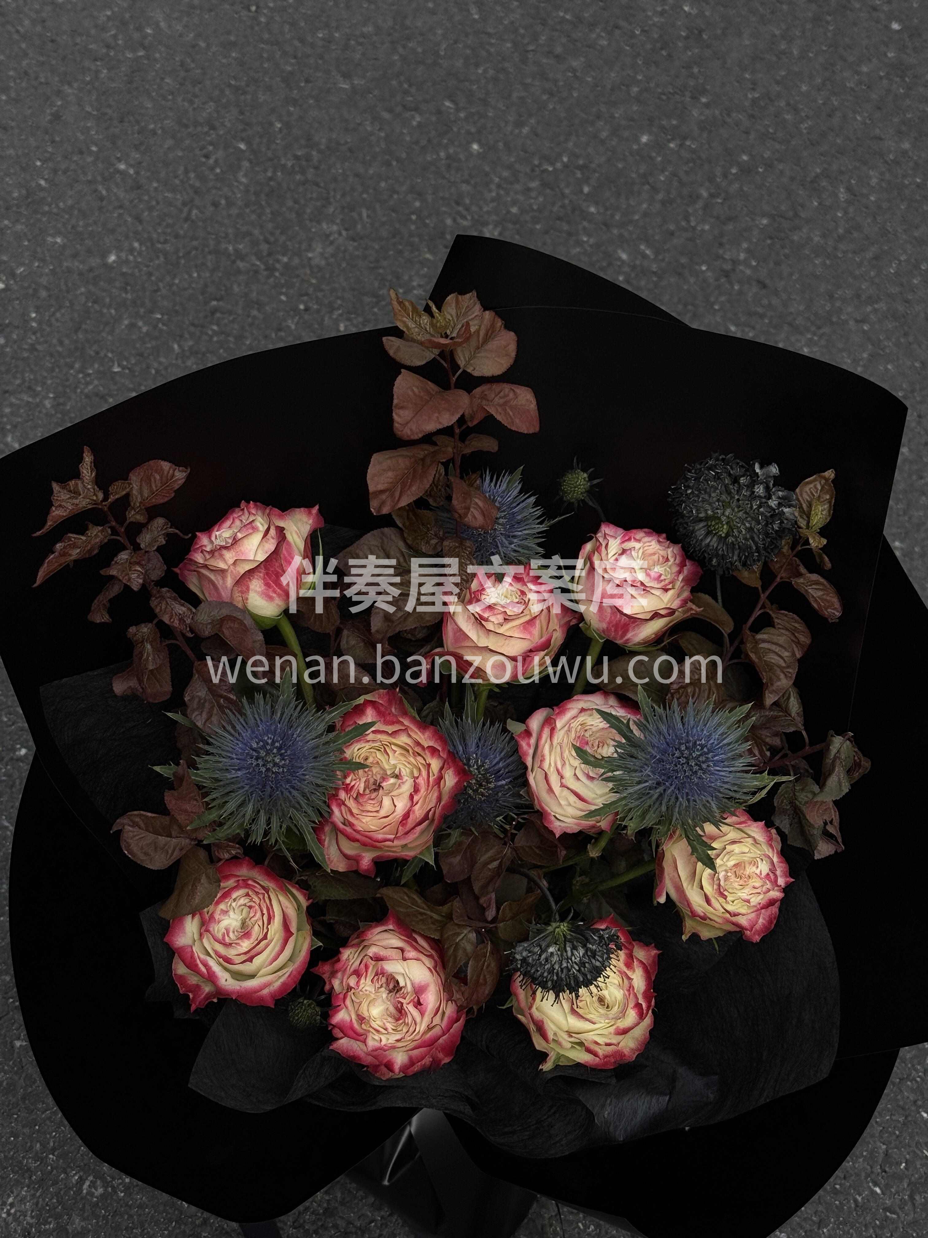 小众玫瑰苹果杰克🍎 复古又高级🤎自带秋天氛围感🍂 配图1
