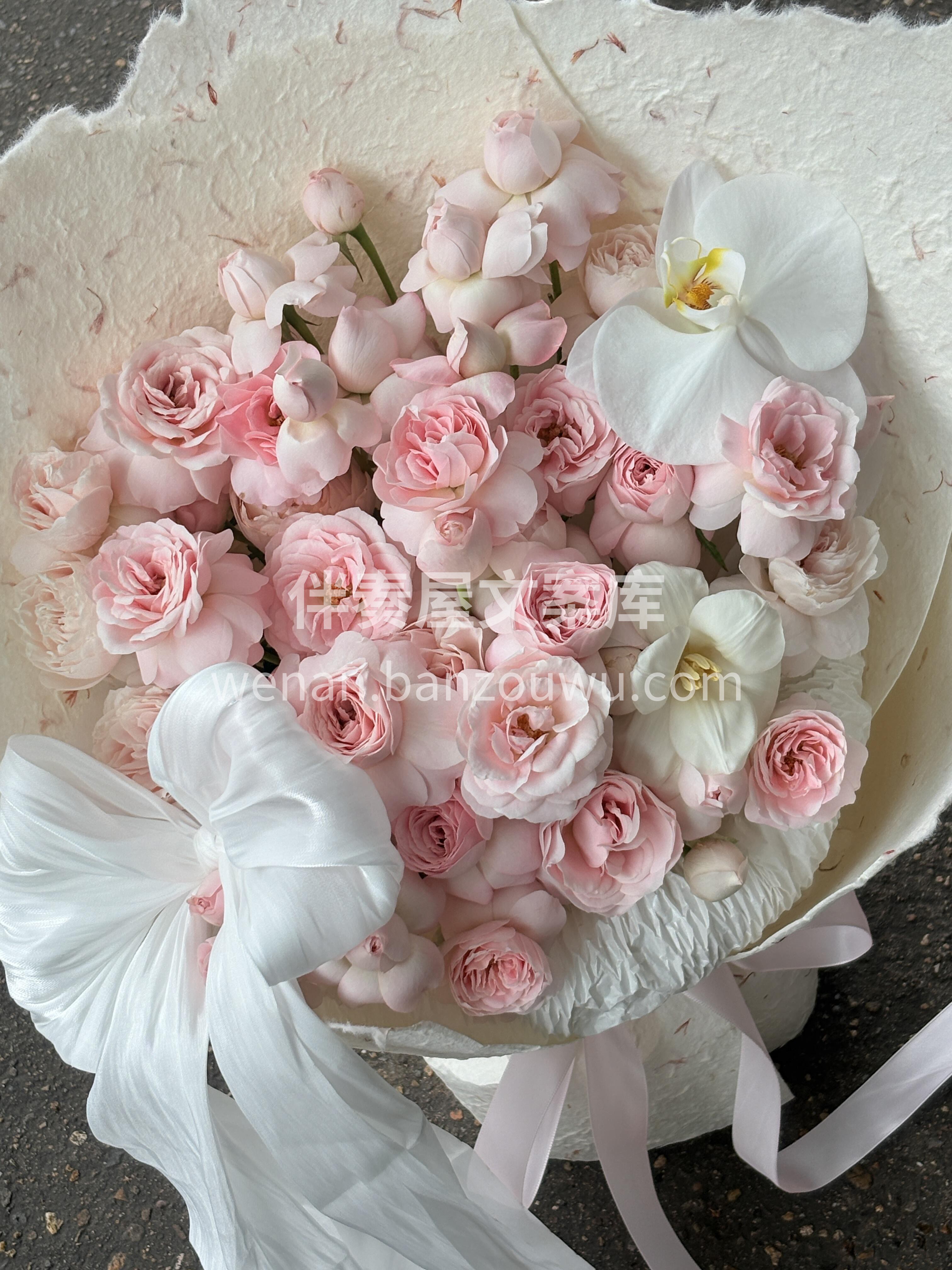 仙子之吻来咯🌸 淡粉色花瓣与杯状花型🌺共 配图3
