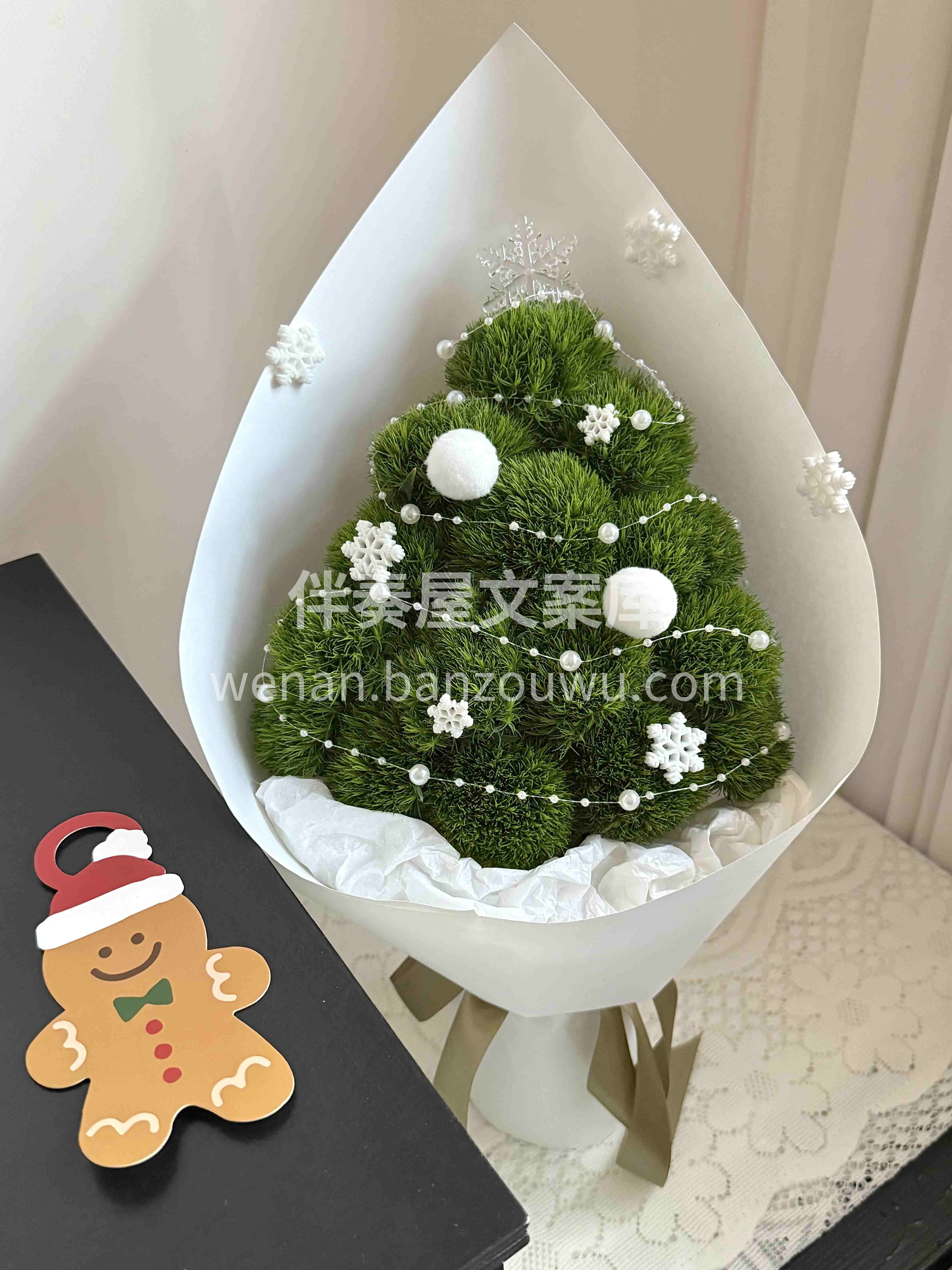 冬日治愈系🫧绿毛球圣诞树花束 🌳 清新绿意撞圣诞氛围🍀温柔不 配图1