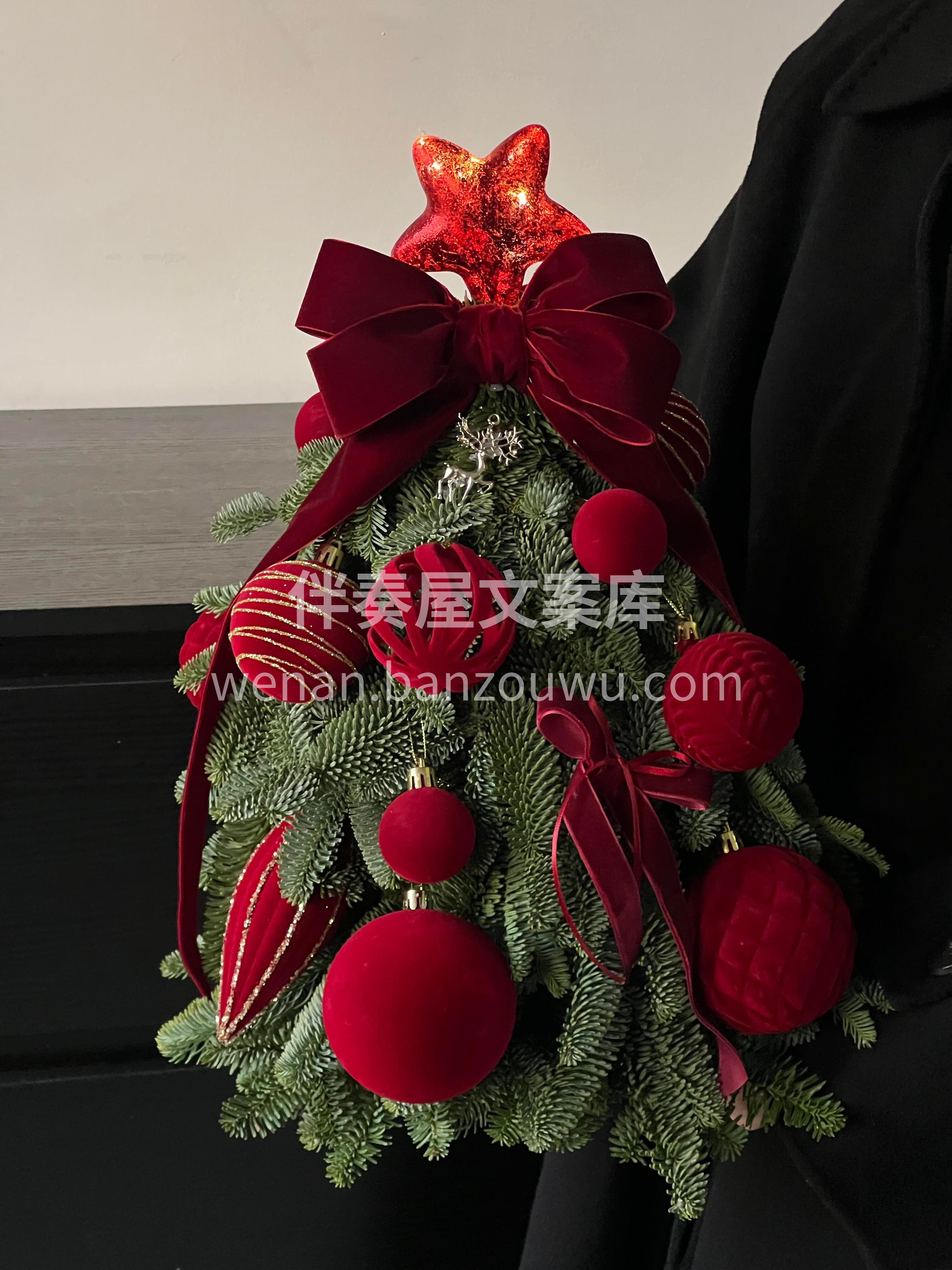圣诞节的浪漫🎄从一棵圣诞树开始🌿 灯串亮起的瞬间✨所有温柔与 配图2