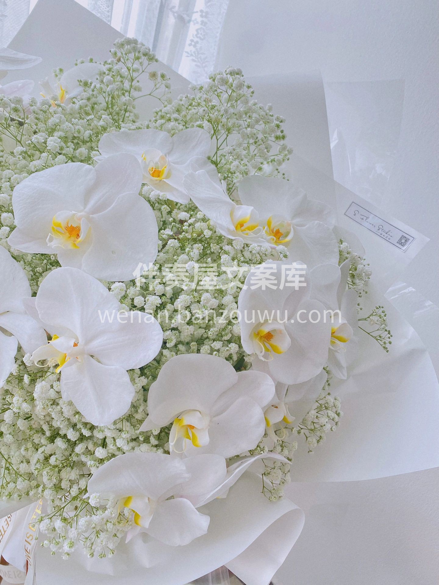 满天星蝴蝶兰花束 顾客送老婆的生日花束  配图1