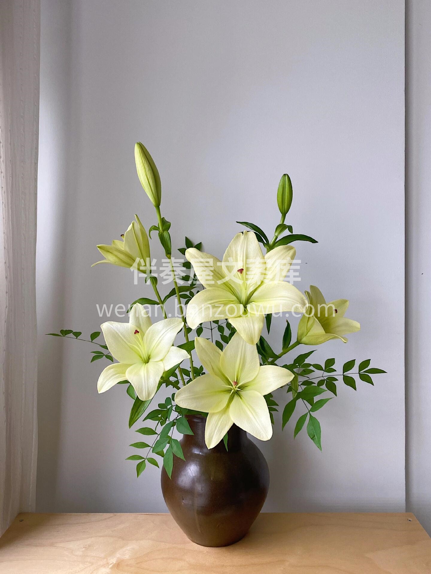 百合瓶插花🌼 🌸赏花的时候 花也在赏我 就像伯乐和千里马的关 配图1