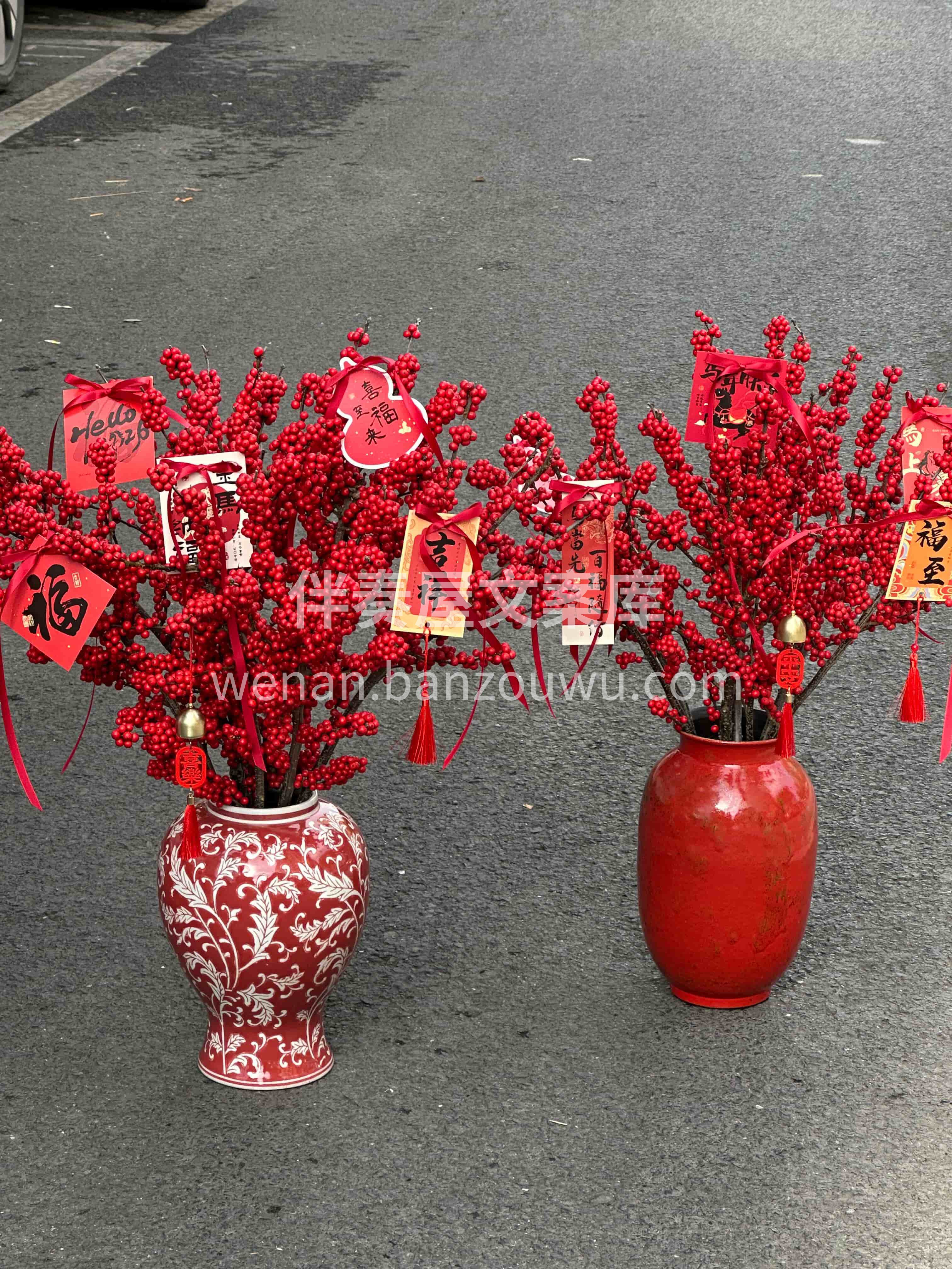 元宵安康[福]冬青添喜 一盏红灯🔥一瓶红果🔴 愿日子红红火火 配图3