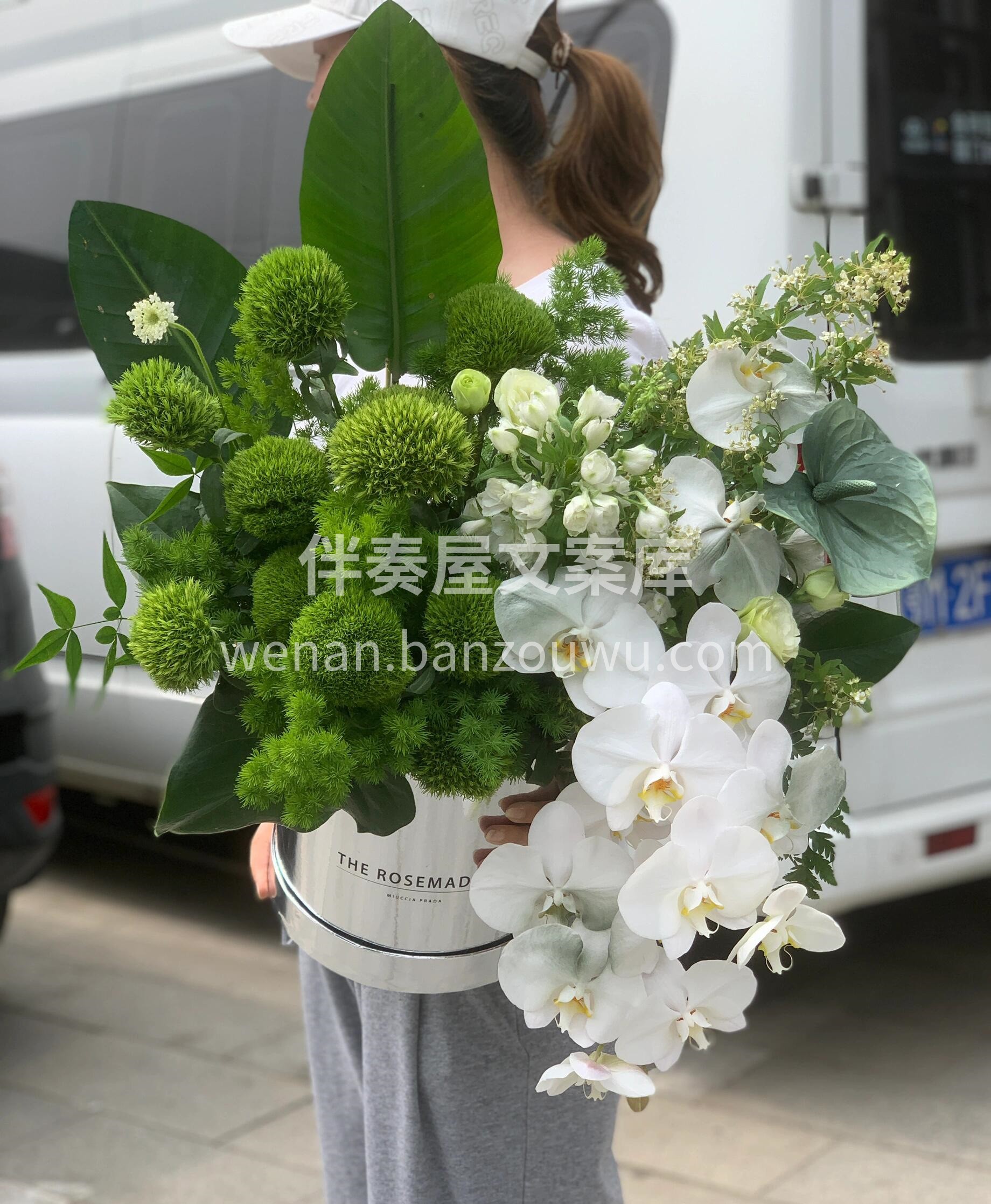白绿色抱抱桶🍃 把自然的清爽与温柔都抱进怀里🪴 那些关于平静 配图1