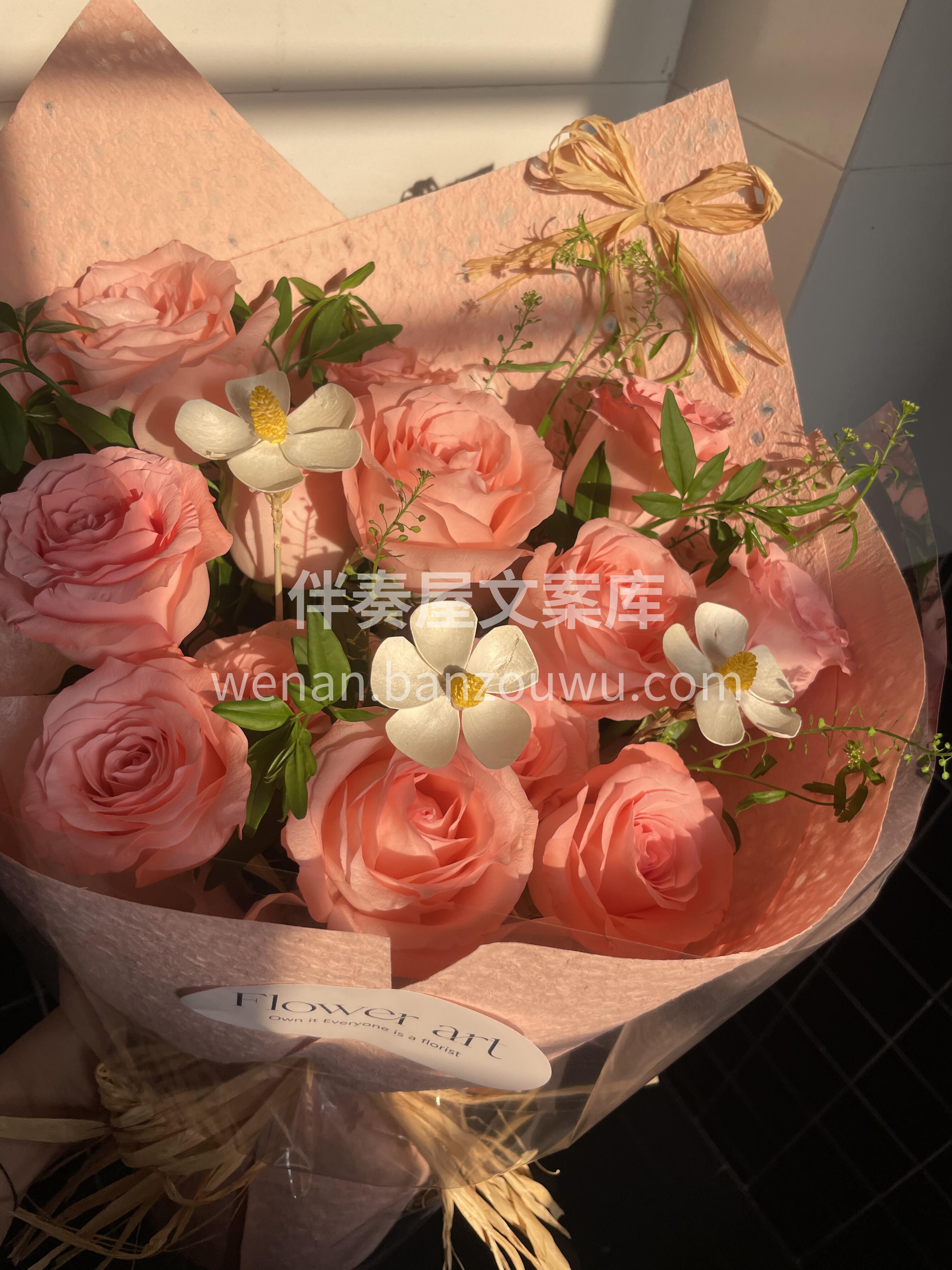 柔雾般的浪漫🌺 藏进黛安娜的温柔褶皱里 每一朵黛安娜都仿佛裹 配图3