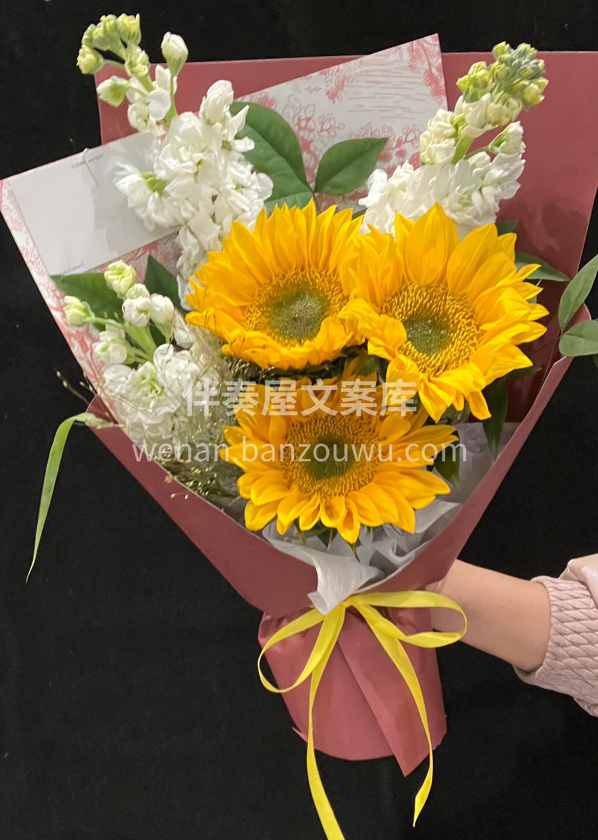 🌞向阳而生温柔相伴 这一束🌻送给努力生活的你 愿好运与美好常 配图1