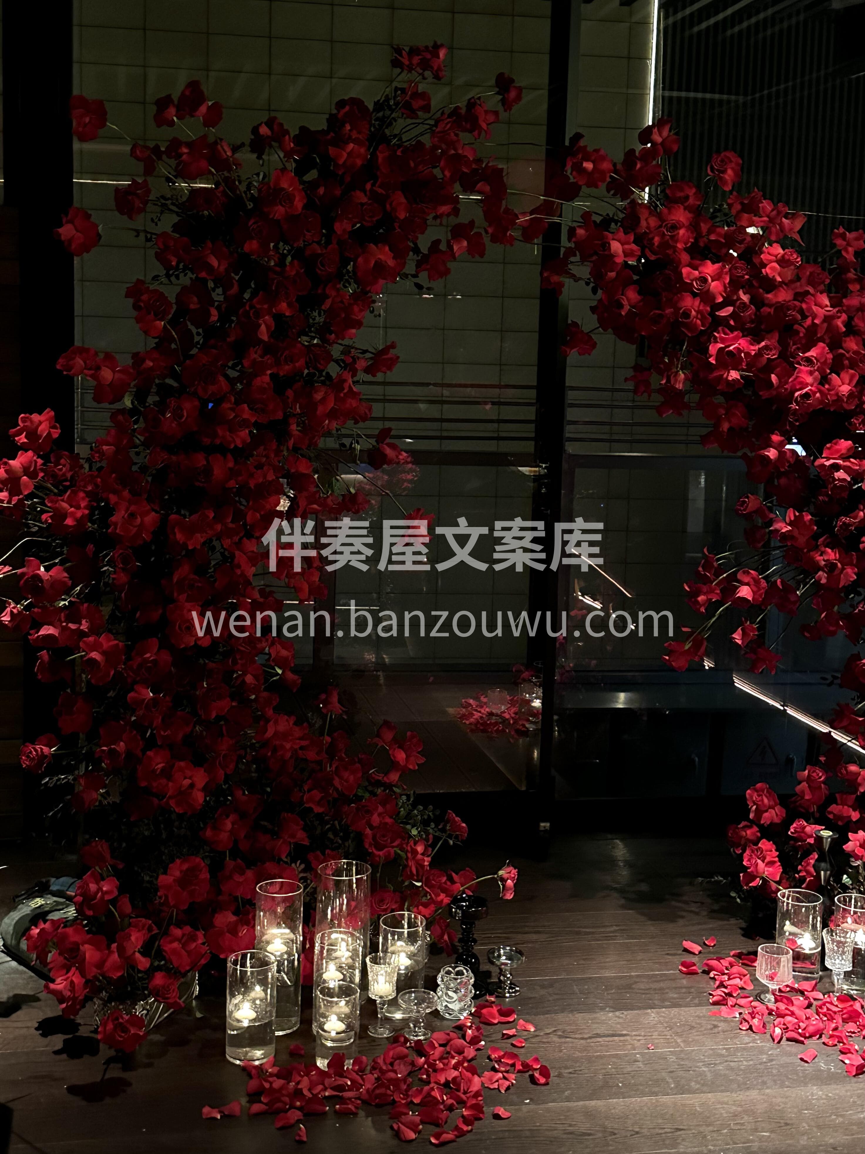 红色求婚💍布置太高级啦 复古红的高原红玫瑰❤️ 丝绒般的质感 配图4