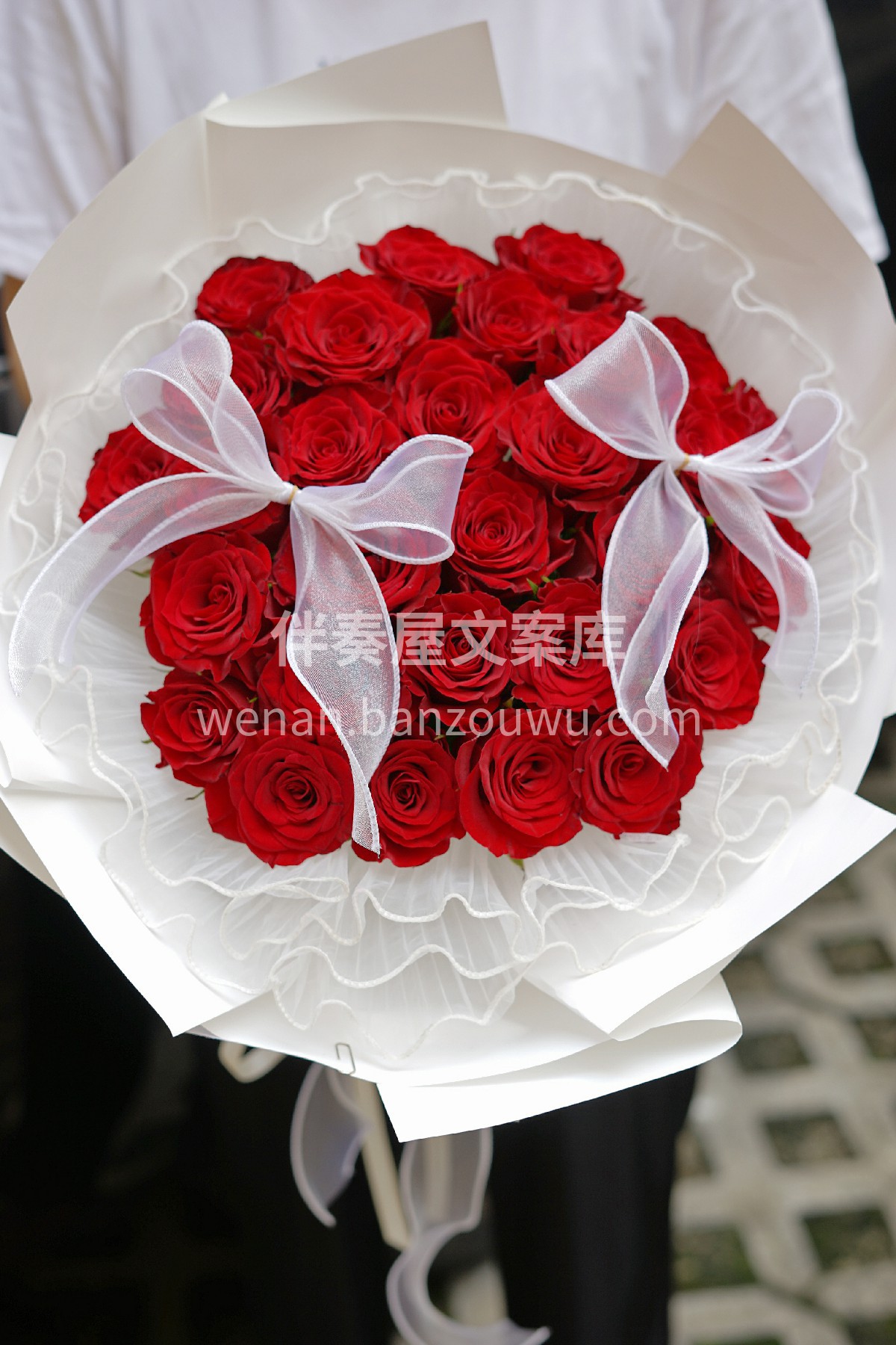 🌹红玫瑰的花语是热烈的爱 🌹红玫瑰用绚烂饱满的红来诠释爱 🌹 配图5