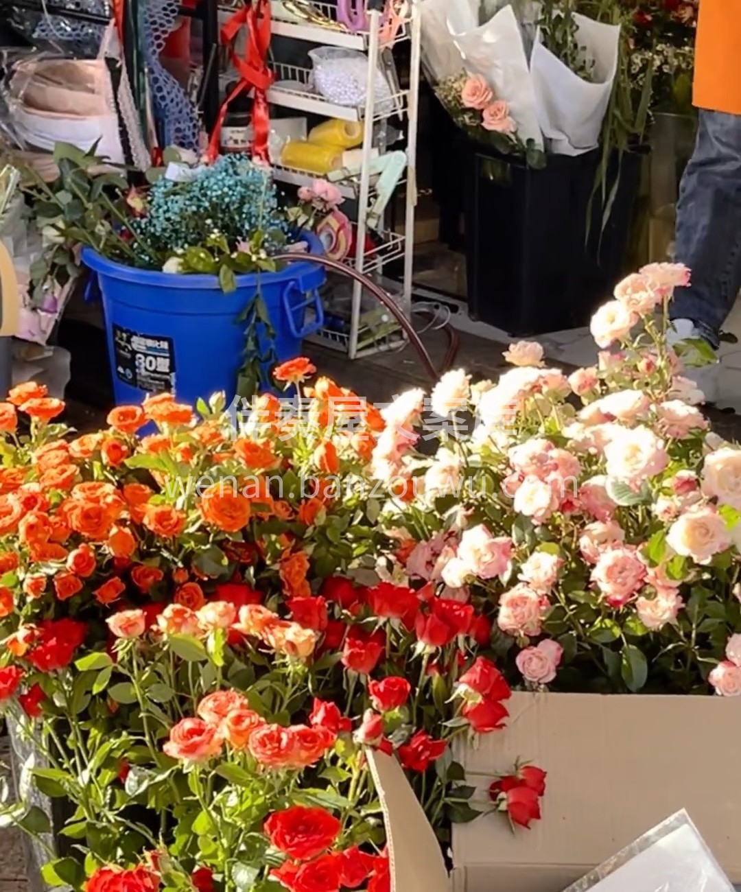我们的花店有最娇艳的花朵，它们是幸福的象 配图3