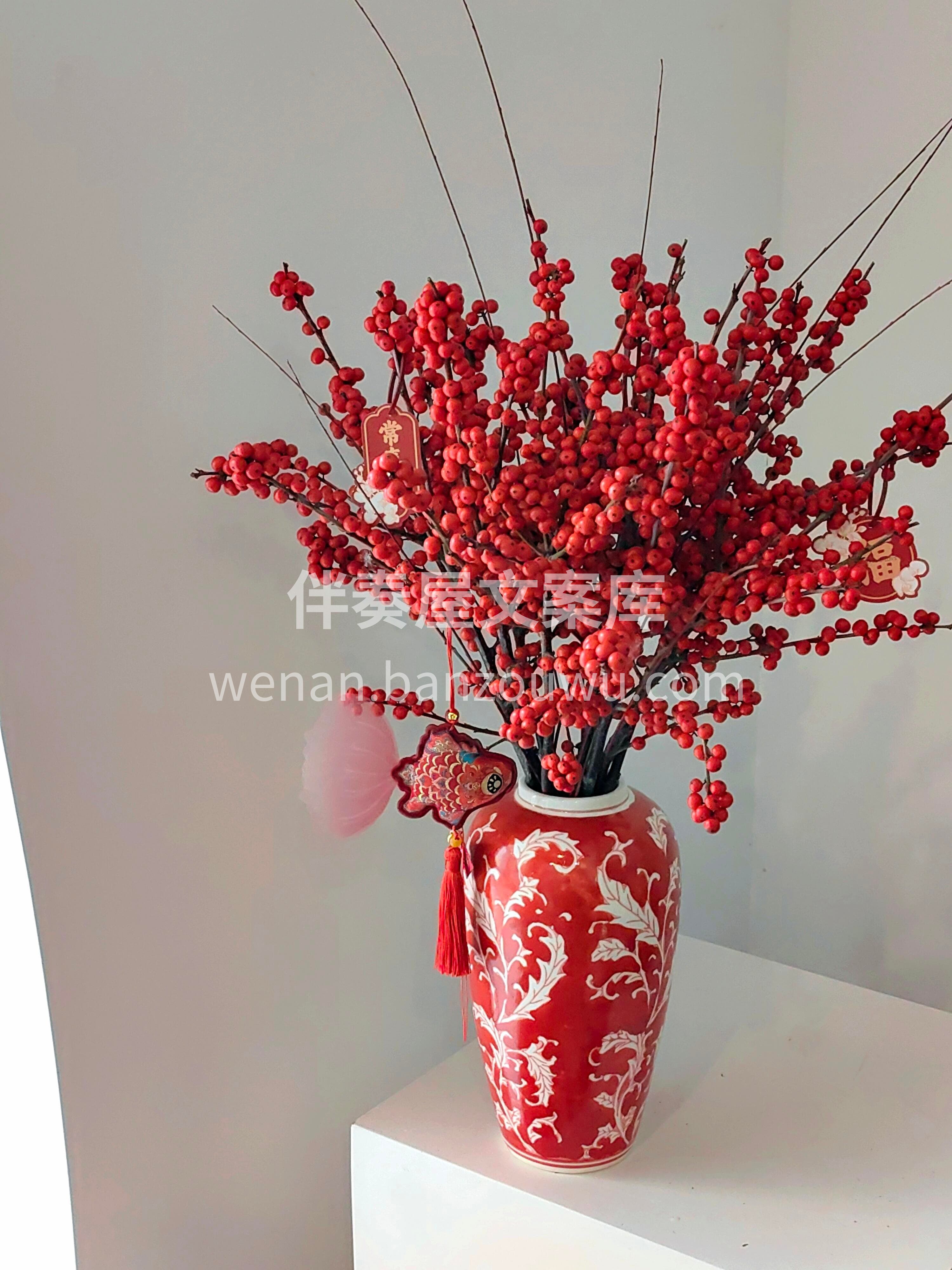 冬青纳福❤️红果迎春[福] 红瓶盛着好彩头[庆祝] 新年的氛 配图3