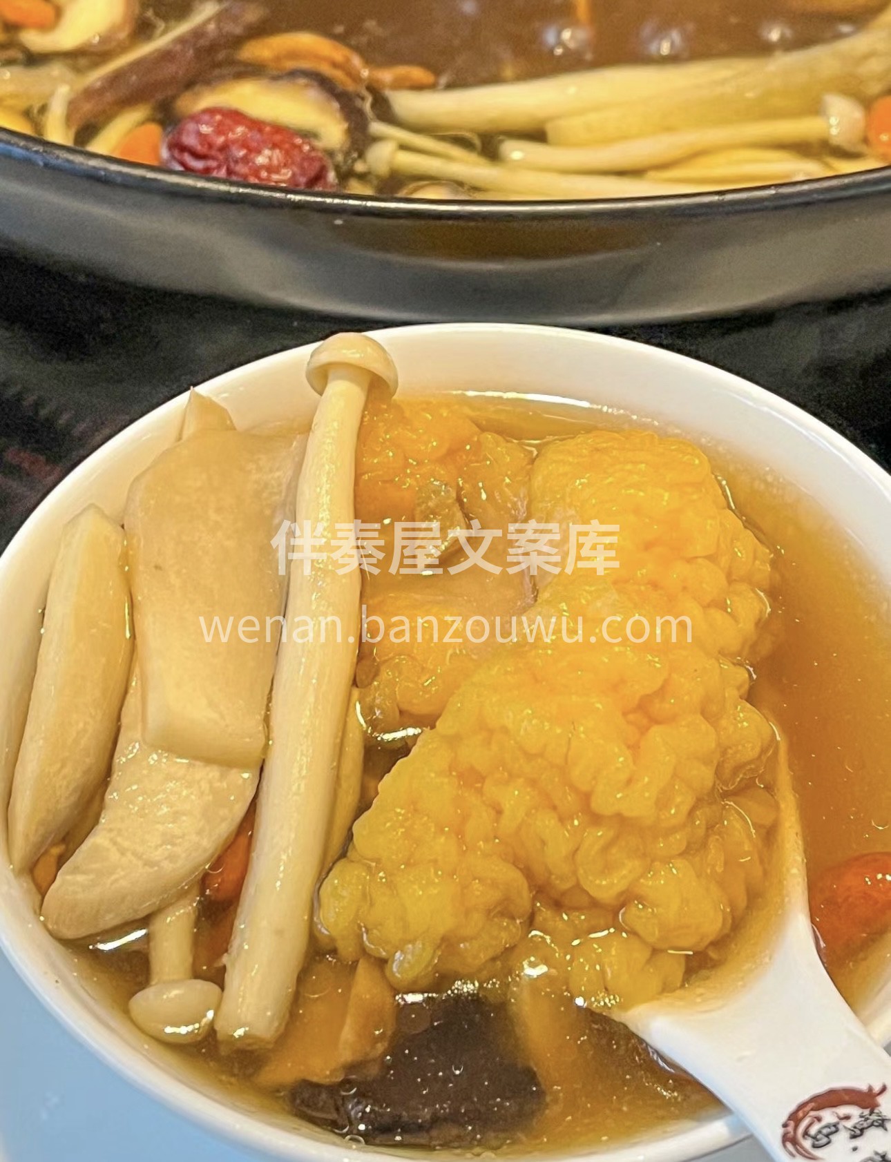 菌菇火锅的奇妙世界！当各种鲜美的菌菇汇聚 配图3