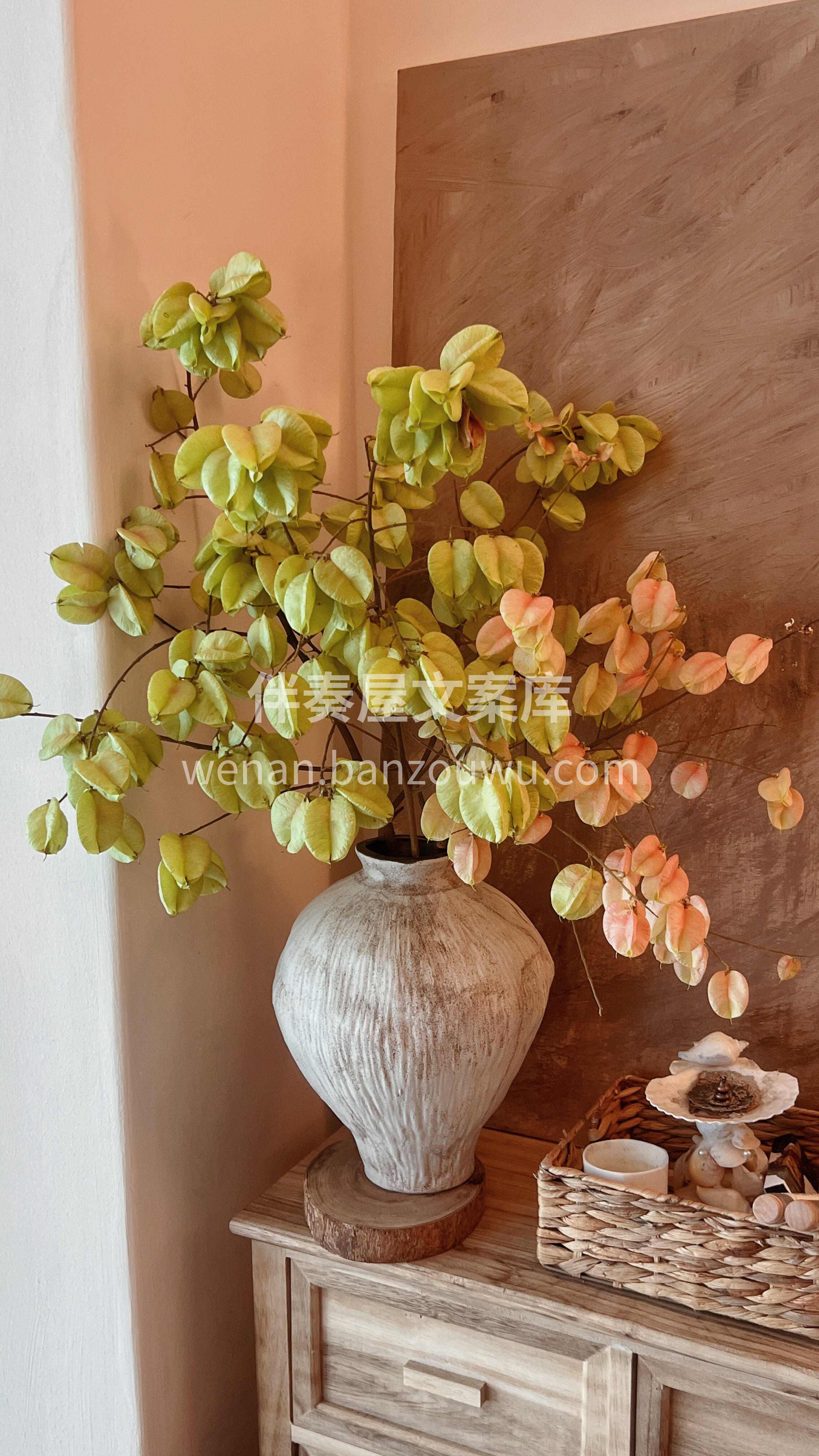 史铁先生笔下的栾树🍂插瓶yyds🍂 简单一支插瓶就超级有氛围 配图3