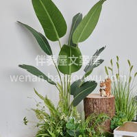 绿植组合陈列设计 绿植场景组合起来后视觉效果更好 利用绿植🌵 配图4