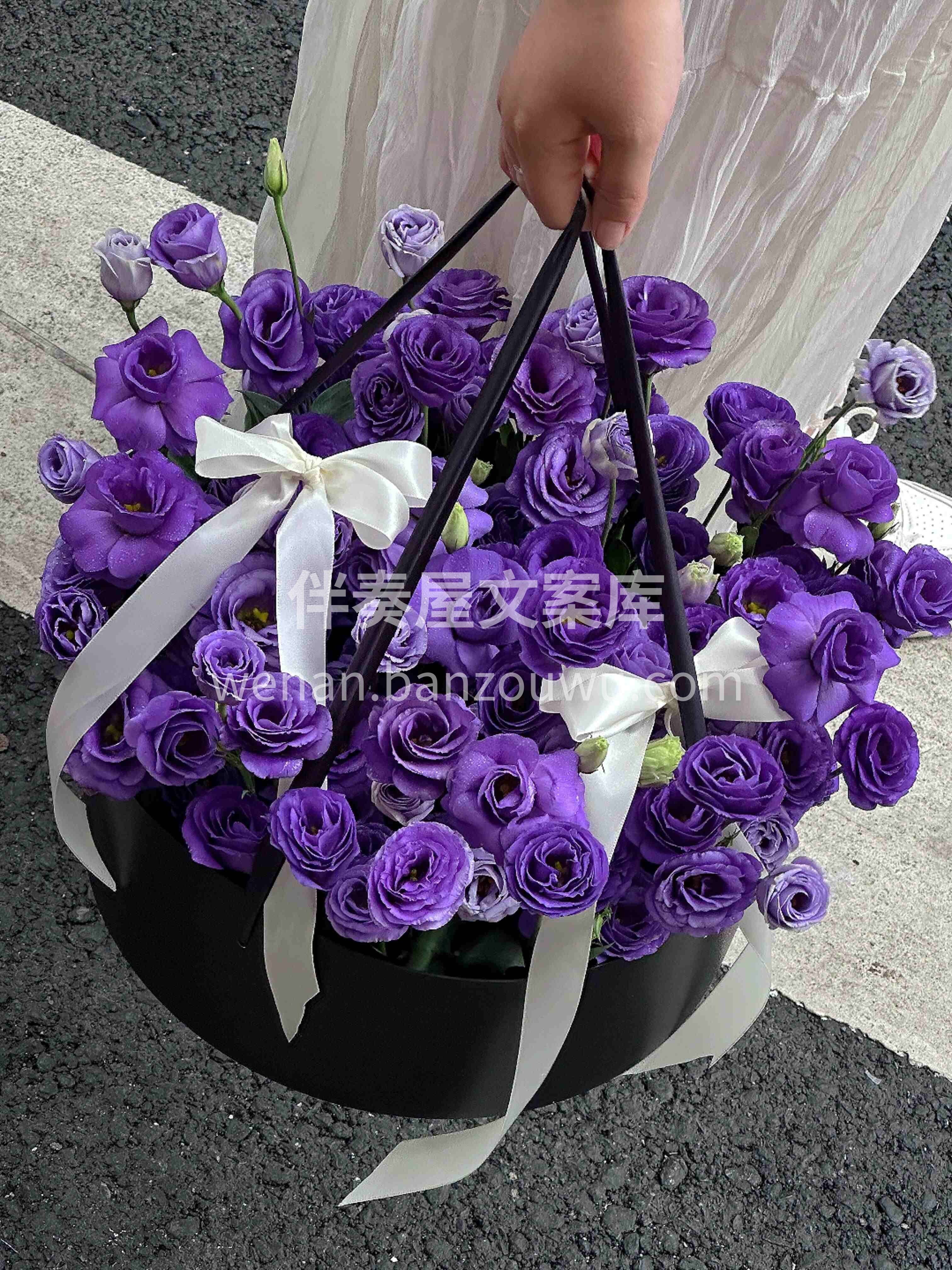 高级又神秘的深紫色桔梗花盒🫧紫色真的很有韵味💜 紫色洋桔梗的 配图2