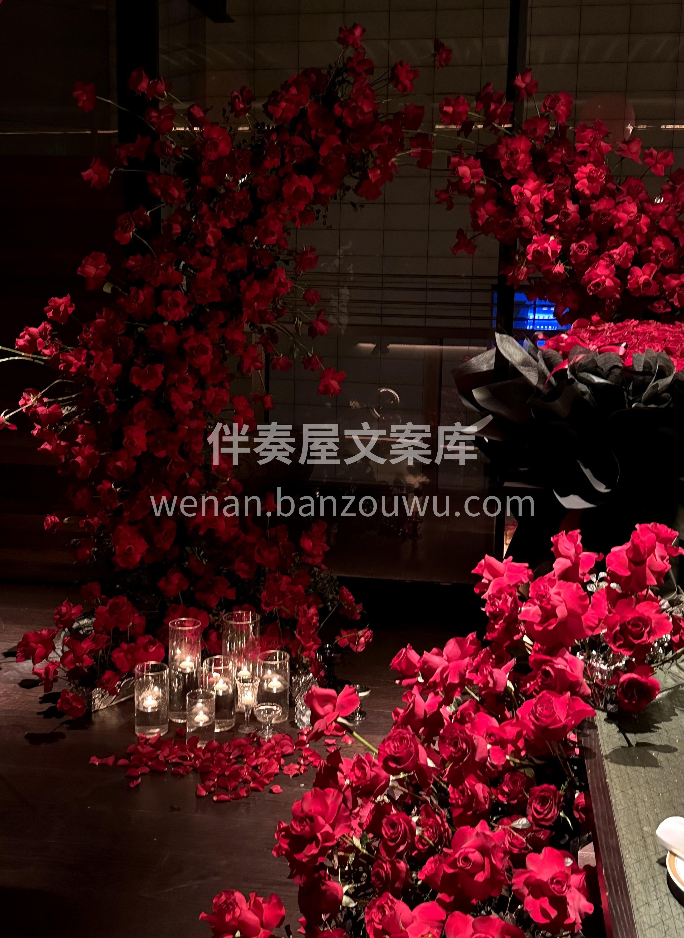 红色求婚💍布置太高级啦 复古红的高原红玫瑰❤️ 丝绒般的质感 配图5