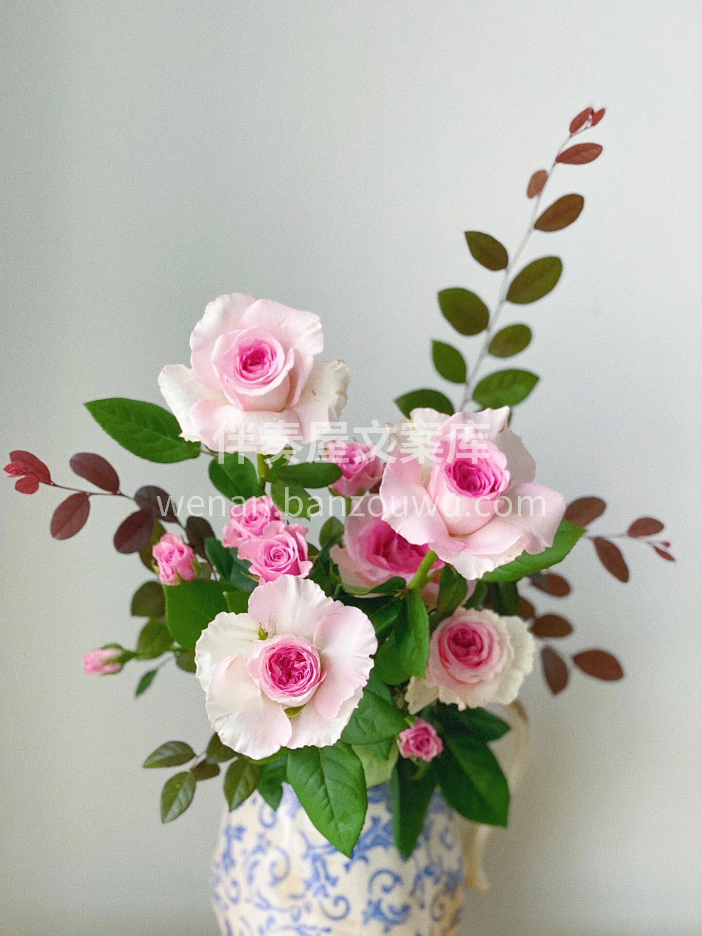 生活因为用心才会变得更好 居家也可以制造💐浪漫时刻 不管有没 配图2