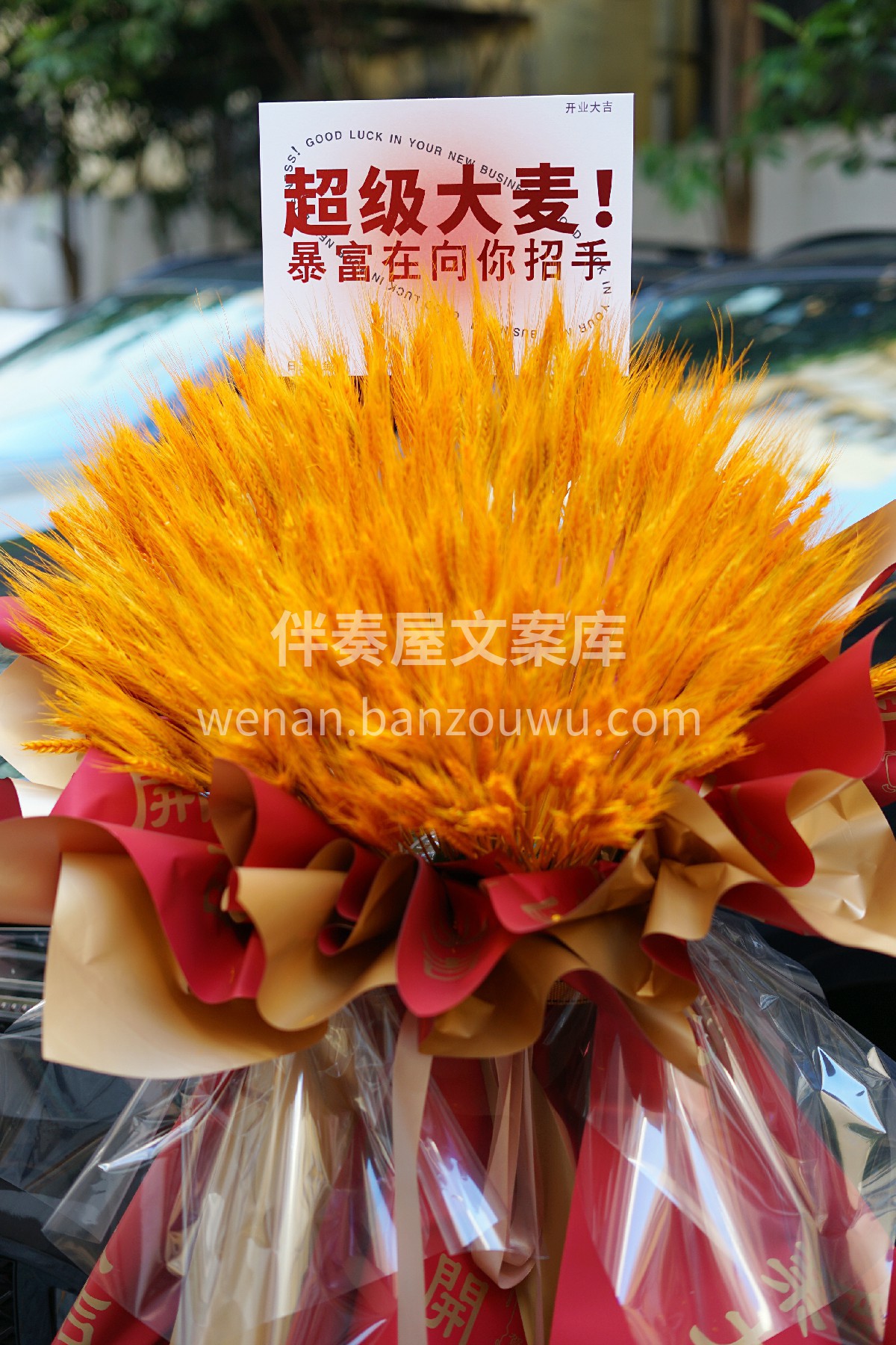 大麦开业花篮 一句大卖大卖，完全把大麦带 配图2