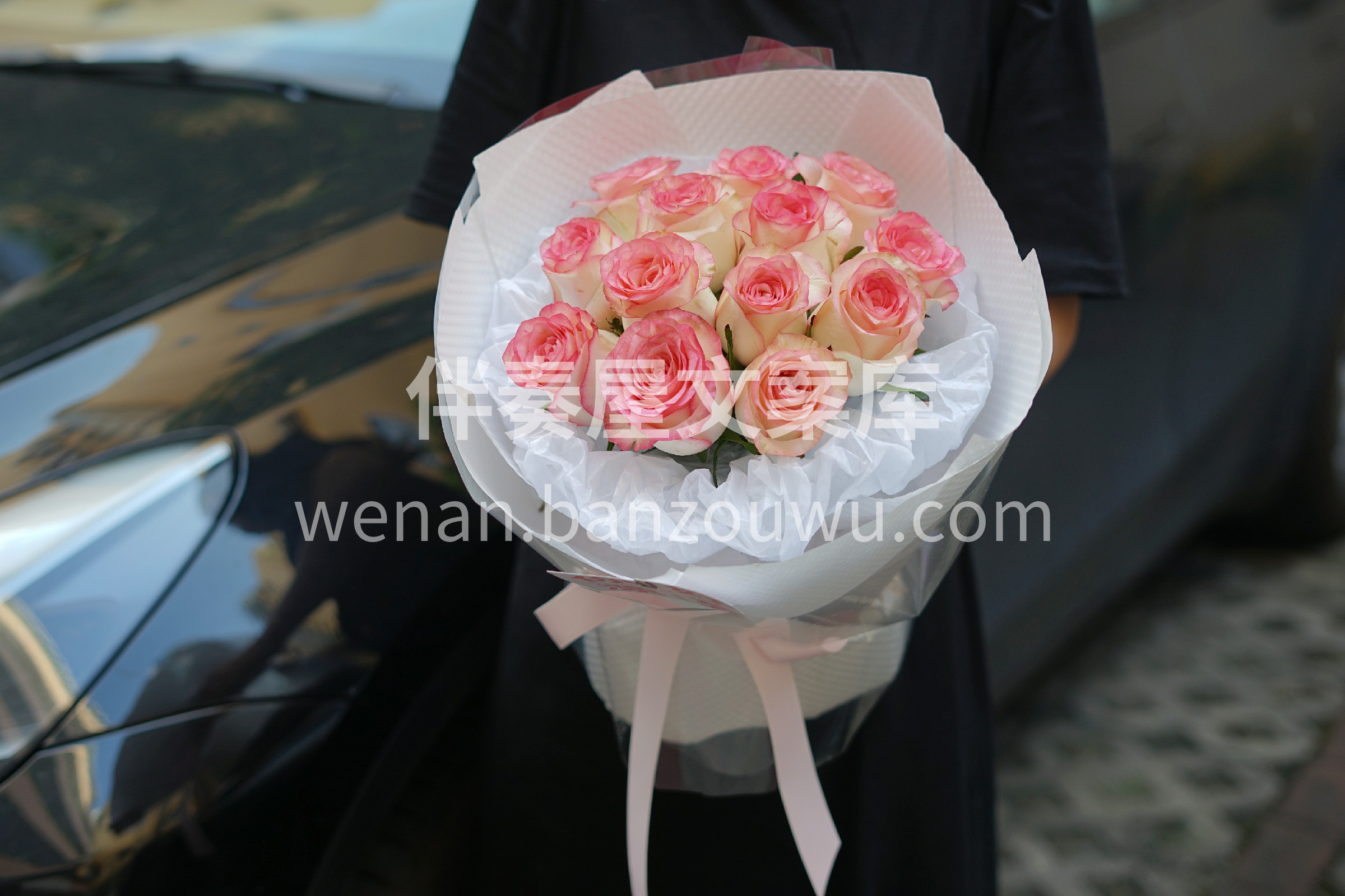 艾莎玫瑰花束 米白色的花瓣粉色卷边 温馨 配图2
