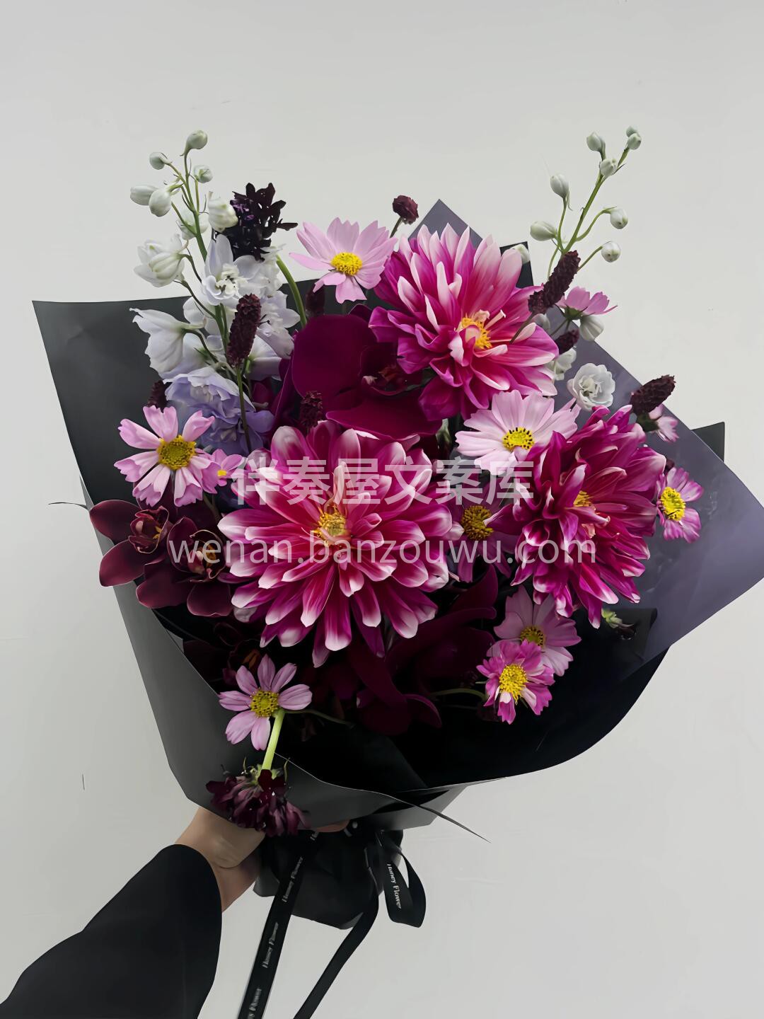 ✨🍃✨我想青春这首诗 应是茂茂长安花🌱 🎈🎈🎈 🌸大丽花混搭 配图3