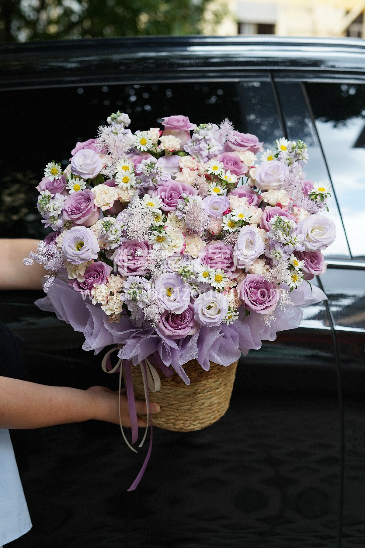 紫霞仙子抱抱桶🌸🌸 我不是盖世英雄💜 却可以为你守护一生 我 配图1
