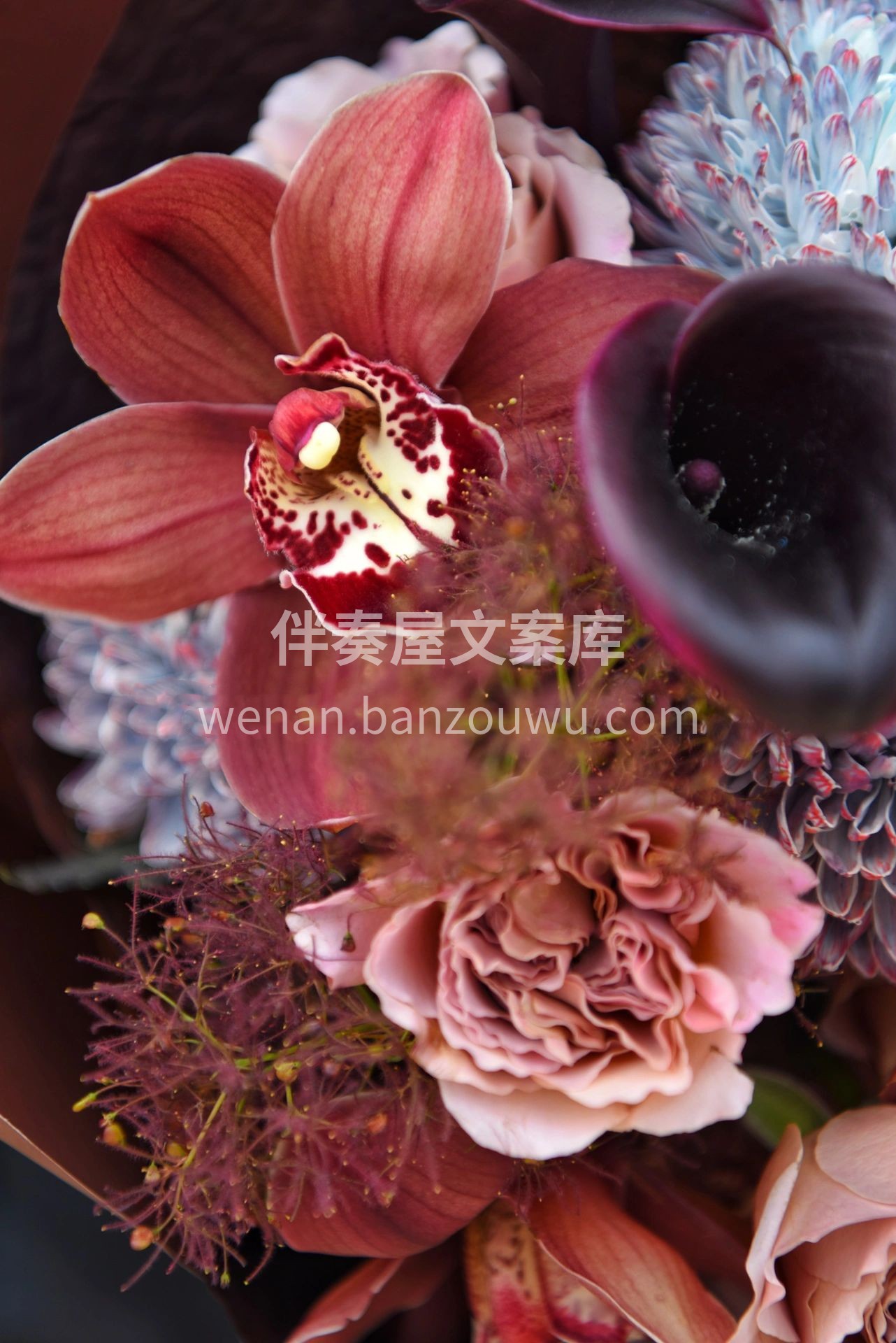 复古色系花束 仿佛来自古老童话中的😘花仙 配图3