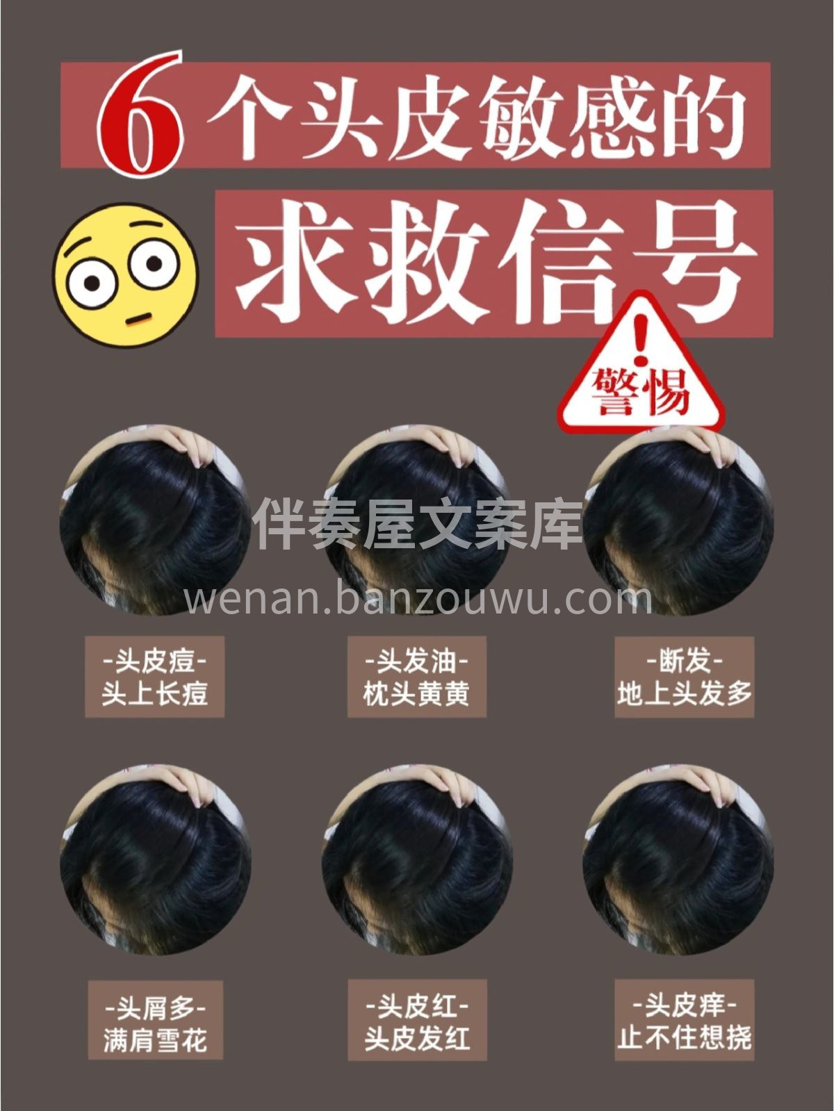 头发越洗，问题就越多？？？ 头痒、头痘、