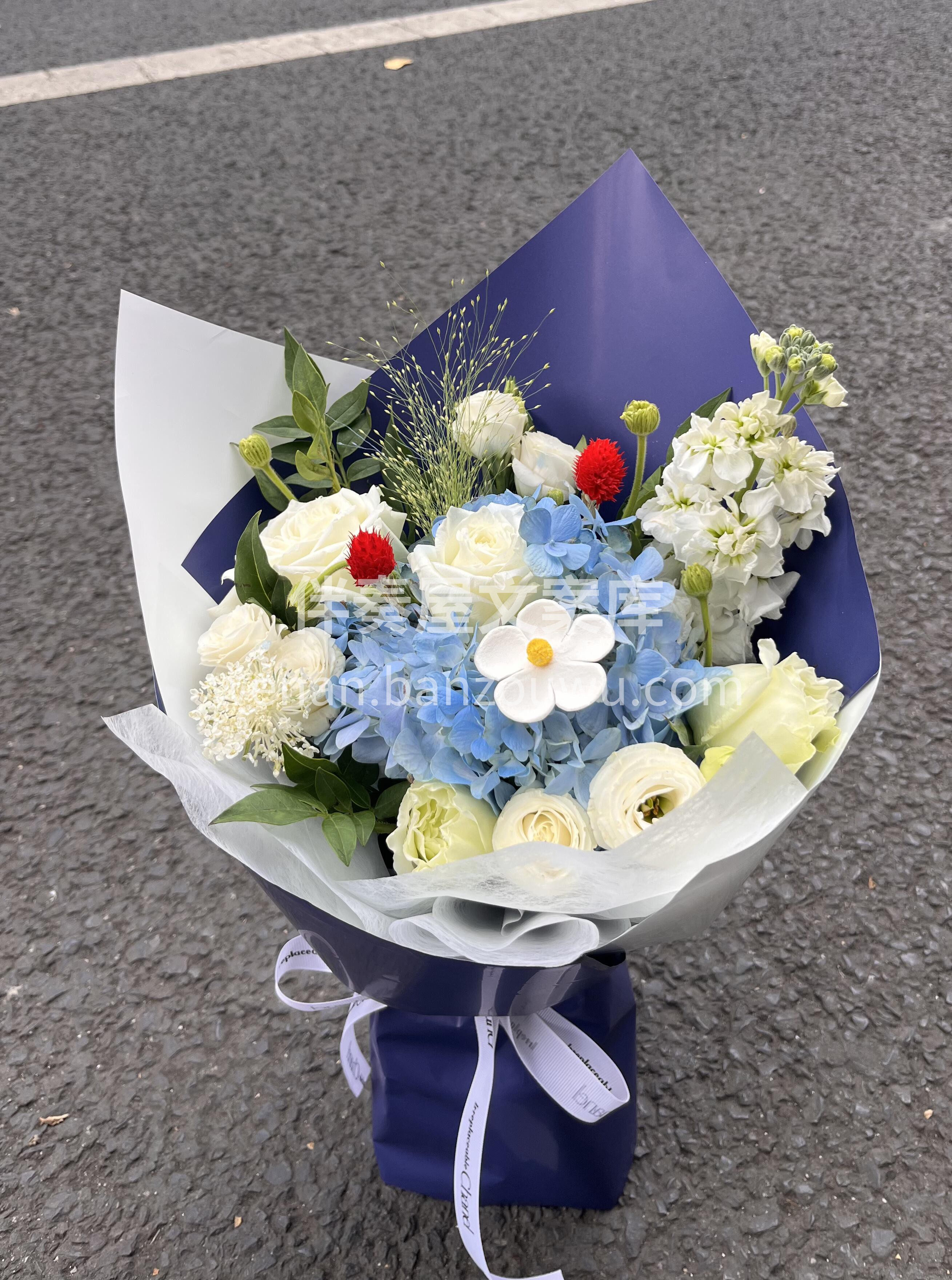 蓝色小花束💐 蓝调的💙浪漫 是我给你的专 配图3