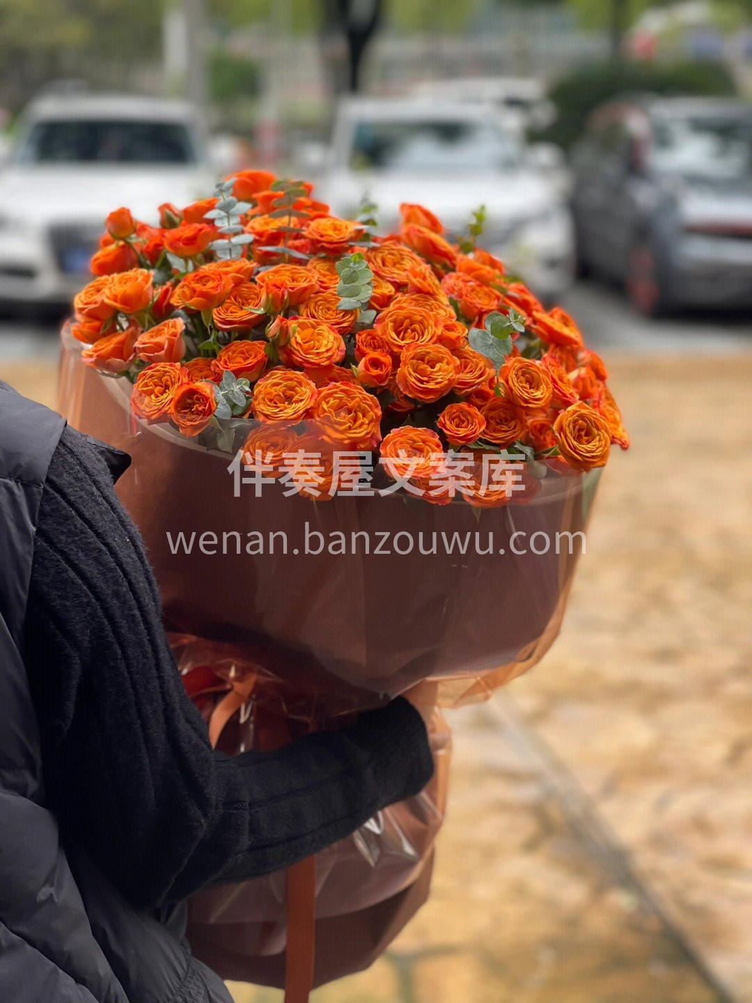 最近店里卖的超好的橙色芭比玫瑰花束 颜色 配图1