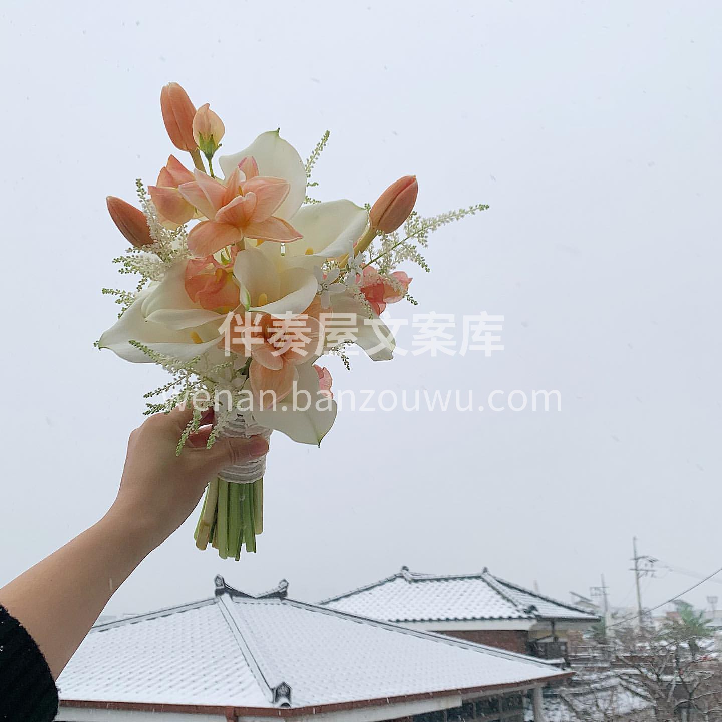 韩式小清新手捧 韩式的鲜花小手捧最近深得 配图1