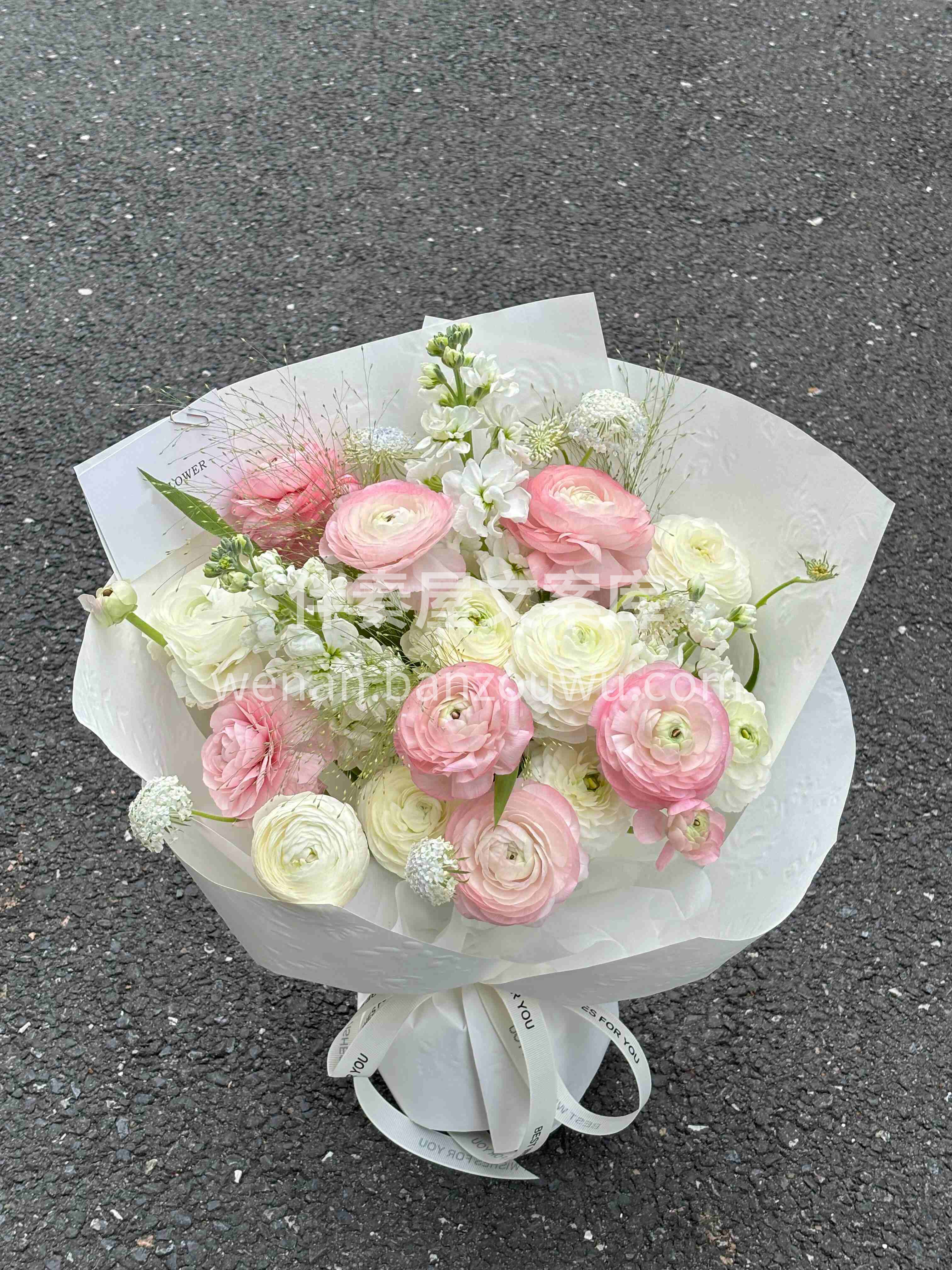 谁能拒绝“春日🌸仙女花” 粉白洋牡丹也太会了吧～ 阳光下自带 配图1