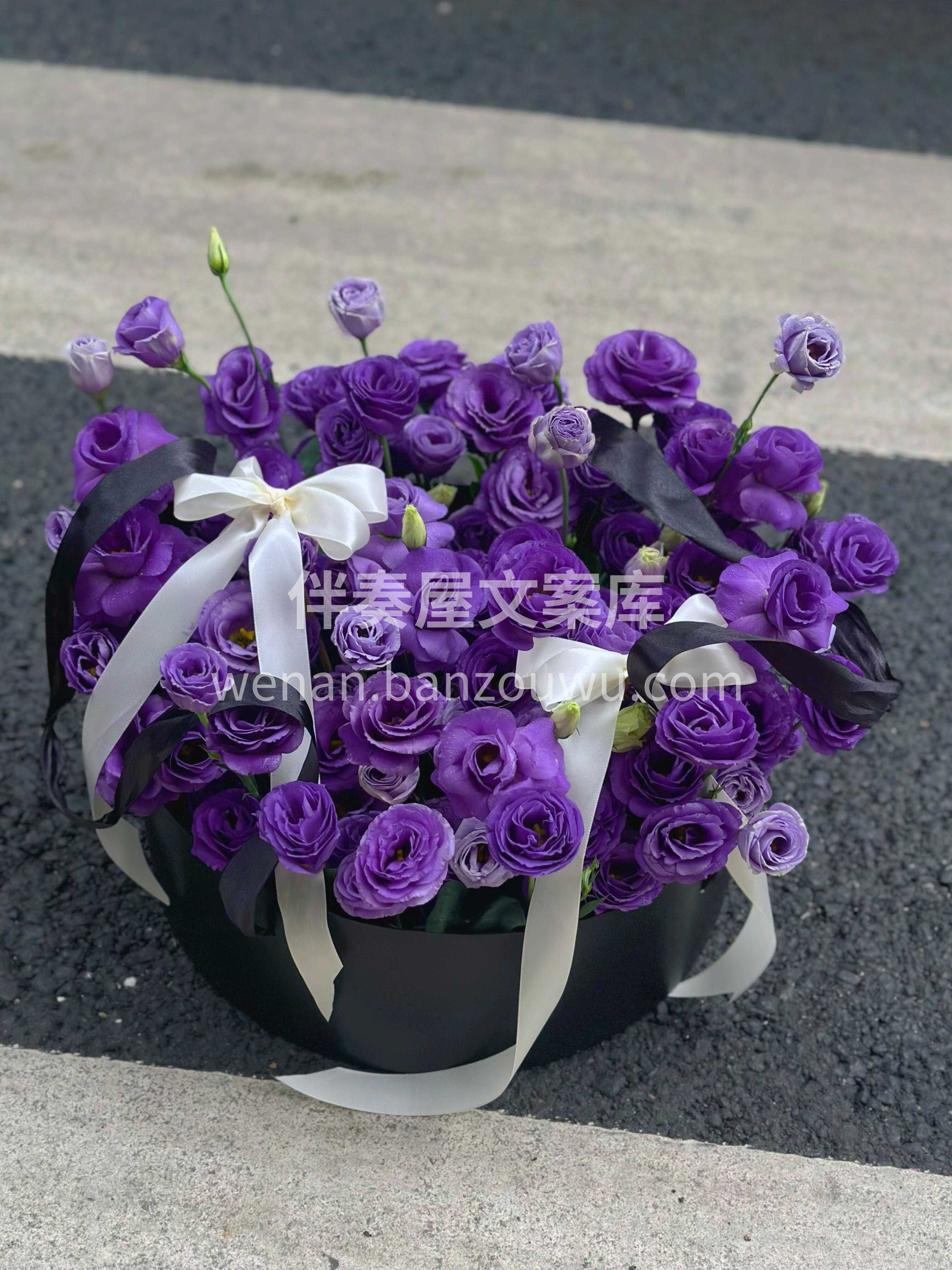 高级又神秘的深紫色桔梗花盒🫧紫色真的很有韵味💜 紫色洋桔梗的 配图1