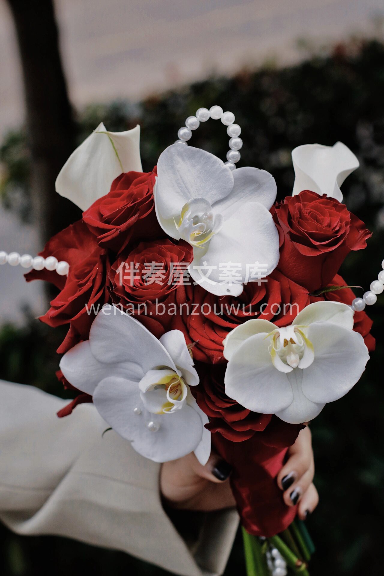 客订新娘手捧花 就是简简单单的红玫瑰🌹加 配图1