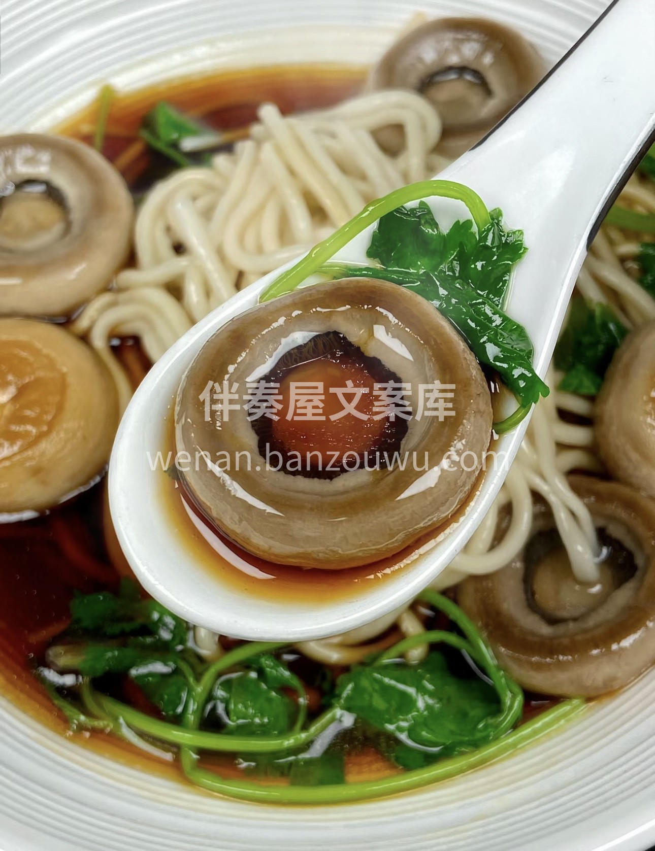 🍄口蘑的鲜美，搭配清爽的汤底，简直是绝配 配图3