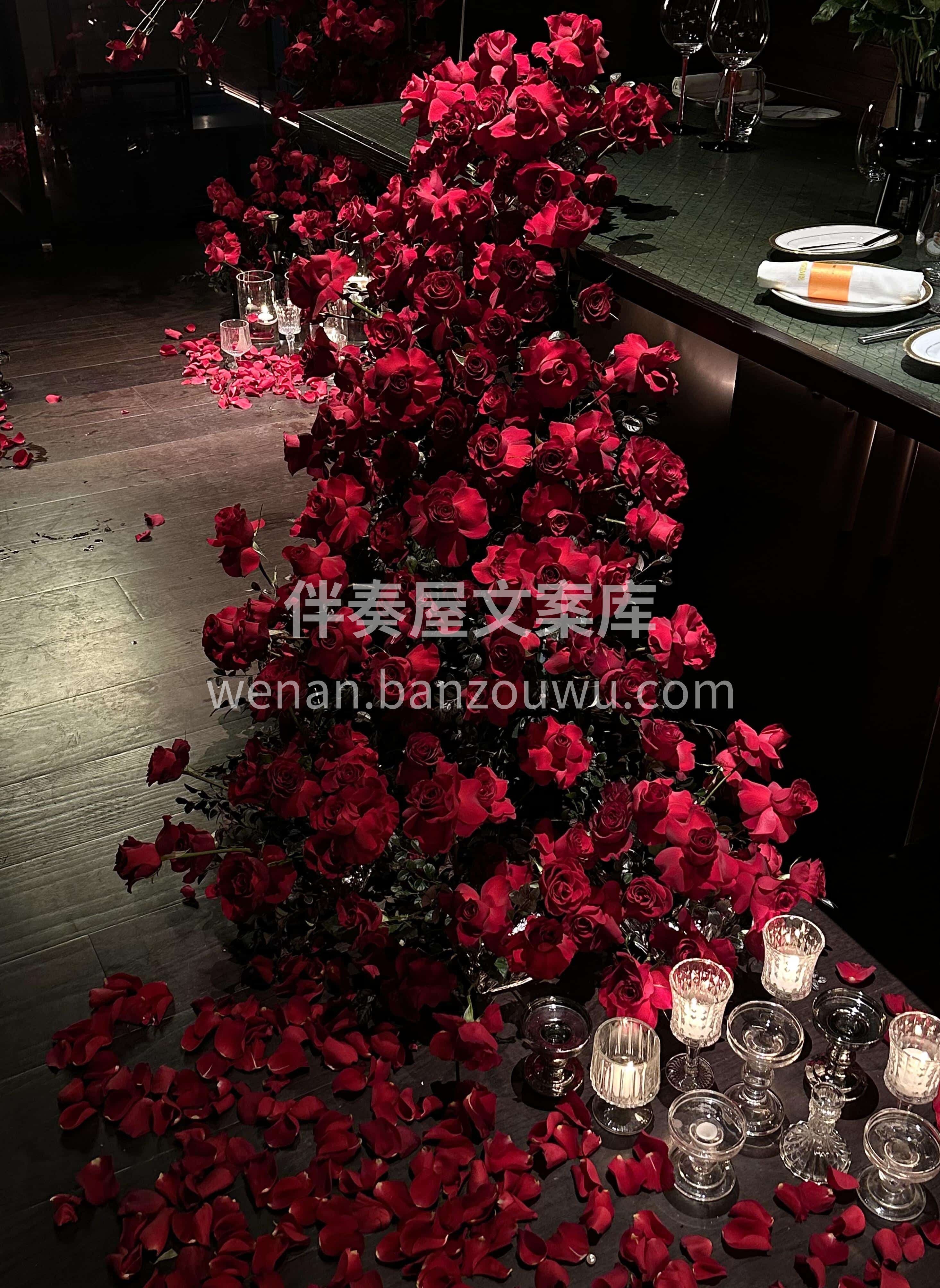 红色求婚💍布置太高级啦 复古红的高原红玫瑰❤️ 丝绒般的质感 配图3